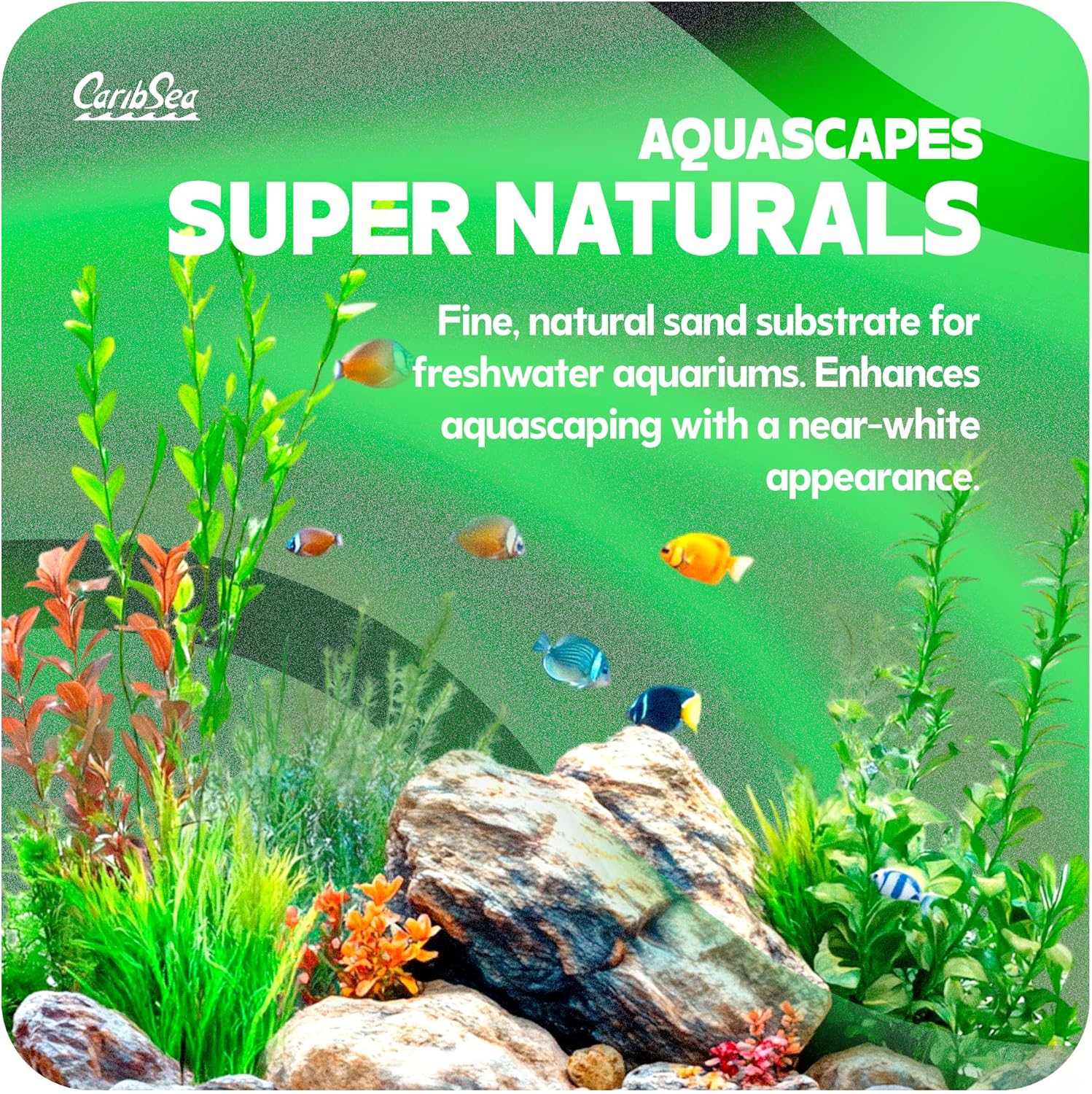 Carib Sea Super Natural Moonlight Sand for aquariums, 5 lb bag, showcasing white and light gray aquarium sand with fine grains.
