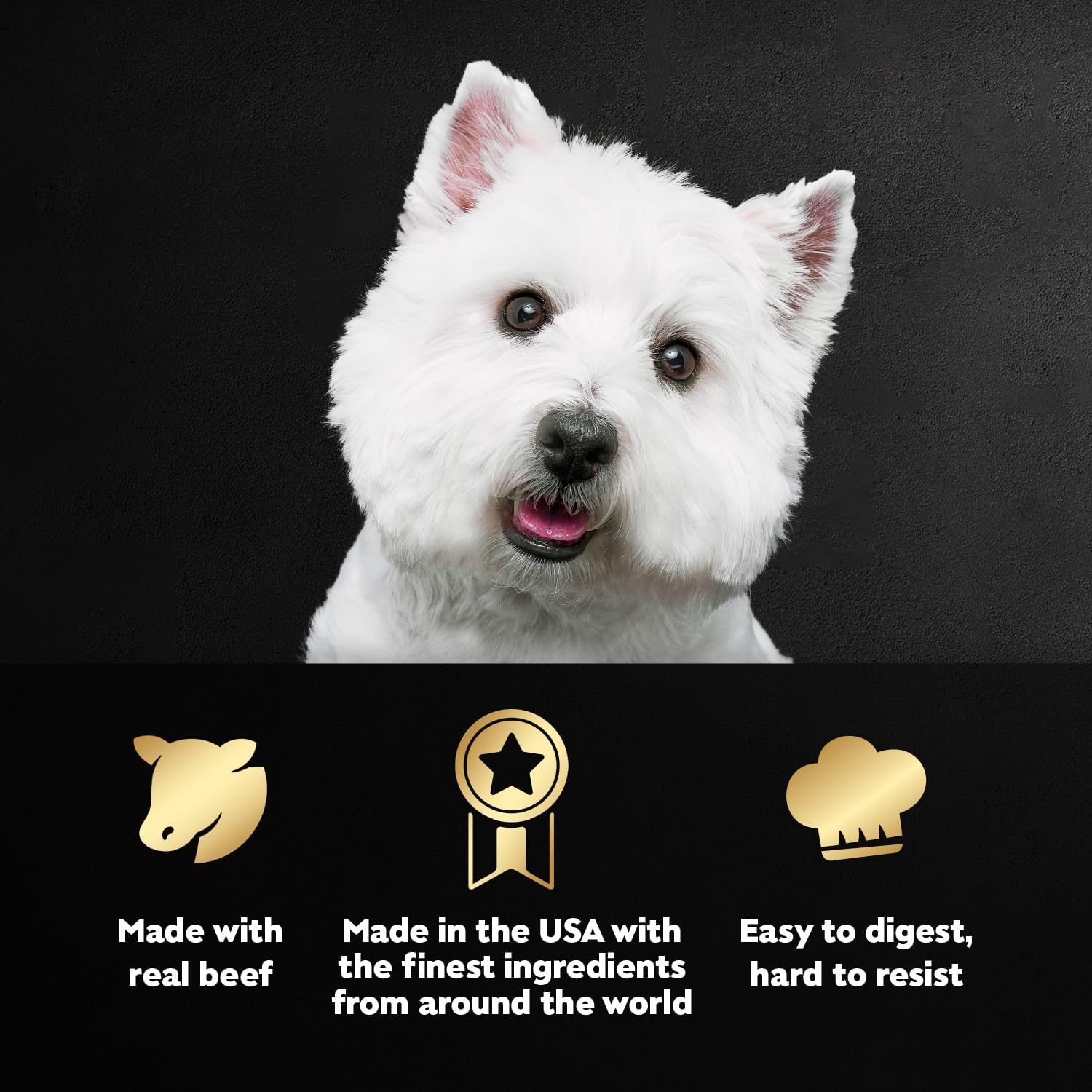 Cesar Wet Dog Food Steak Lovers Variety Pack for adult dogs, featuring cans of dog food with beef and steak flavors.