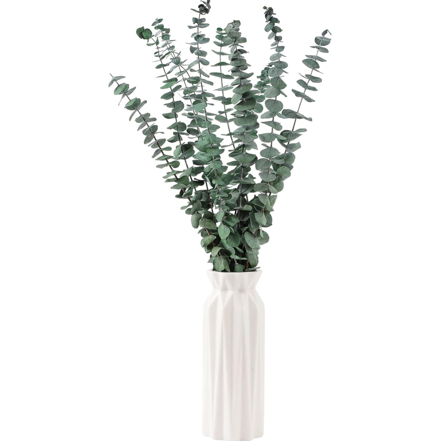 White vase with green eucalyptus branches on a white background
