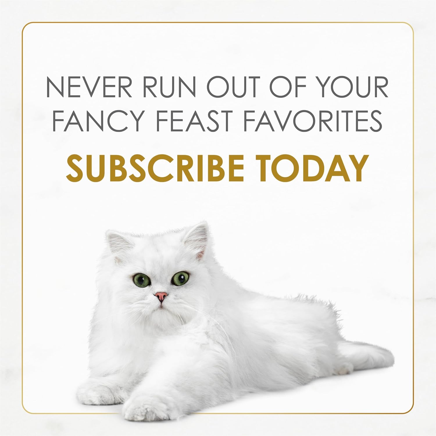 Bag of Fancy Feast dry cat food with filet mignon flavor, seafood, and shrimp, 12-pound bag for cats.