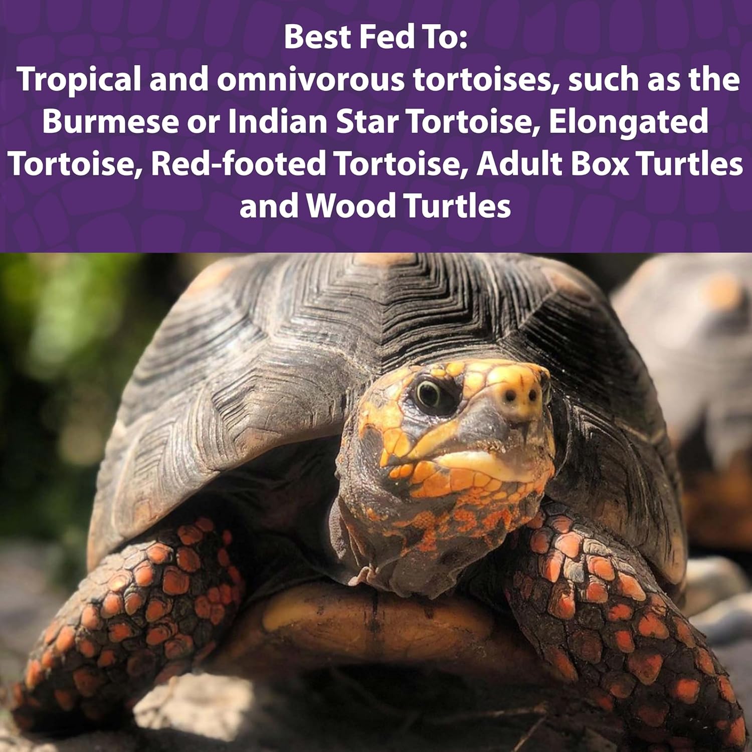 Mazuri tortoise diet in a 1.25-pound bag with a resealable top, showing the dry, pellet-form food inside.
