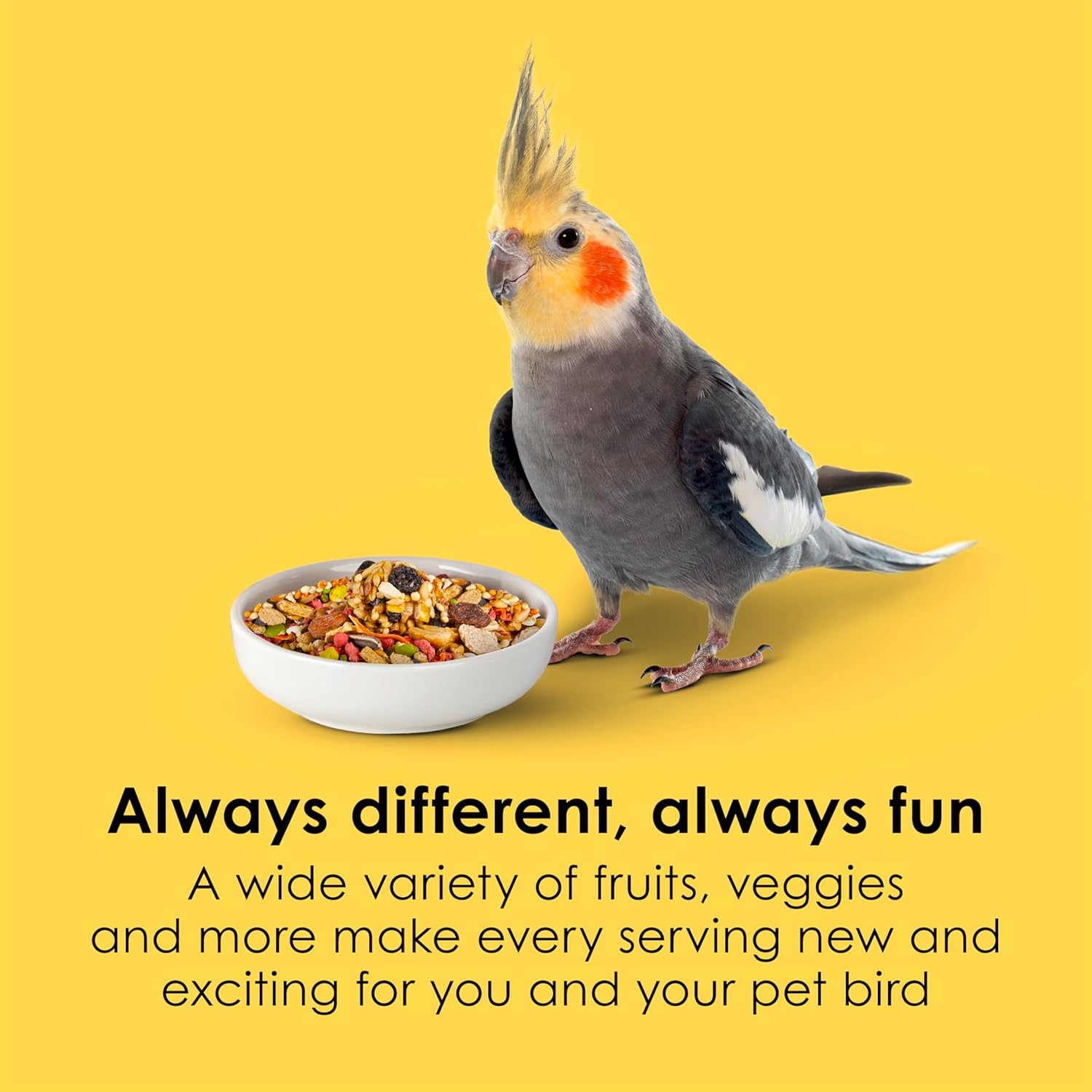 Kaytee Fiesta Cockatiel Food blend with seeds and grains, supporting healthy skin and feathers for pet cockatiels.