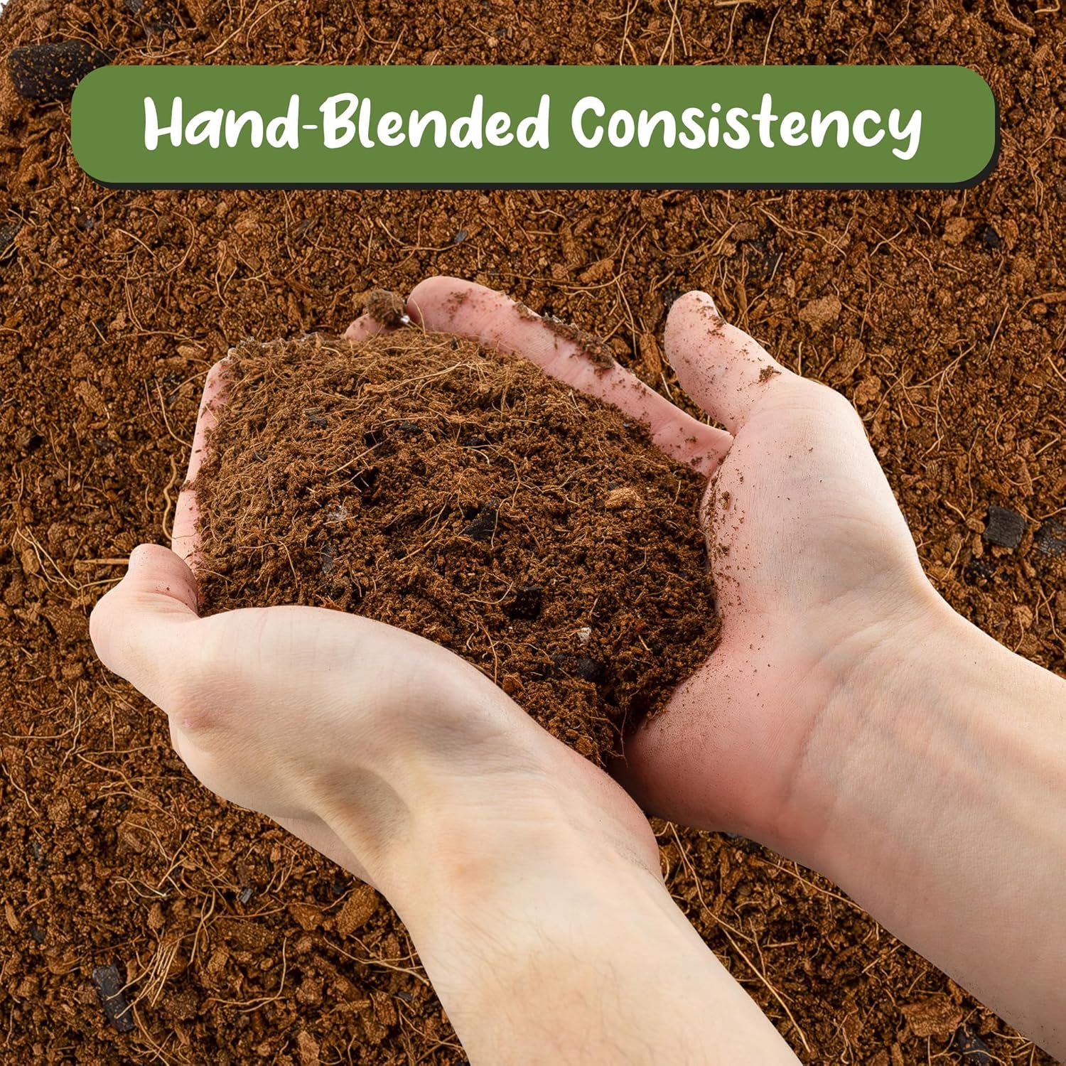 Soil Sunrise terrarium potting soil mix in a 4-quart bag with blended filtering for indoor plant containers.