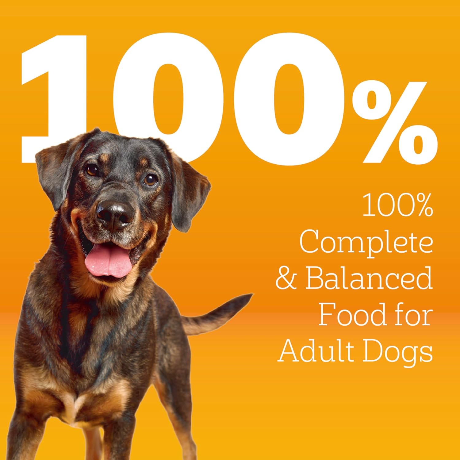 Pedigree dry dog food bag for adult dogs, high protein beef and lamb flavor, 18 lb. bag, with dog bowl and food kibble visible.