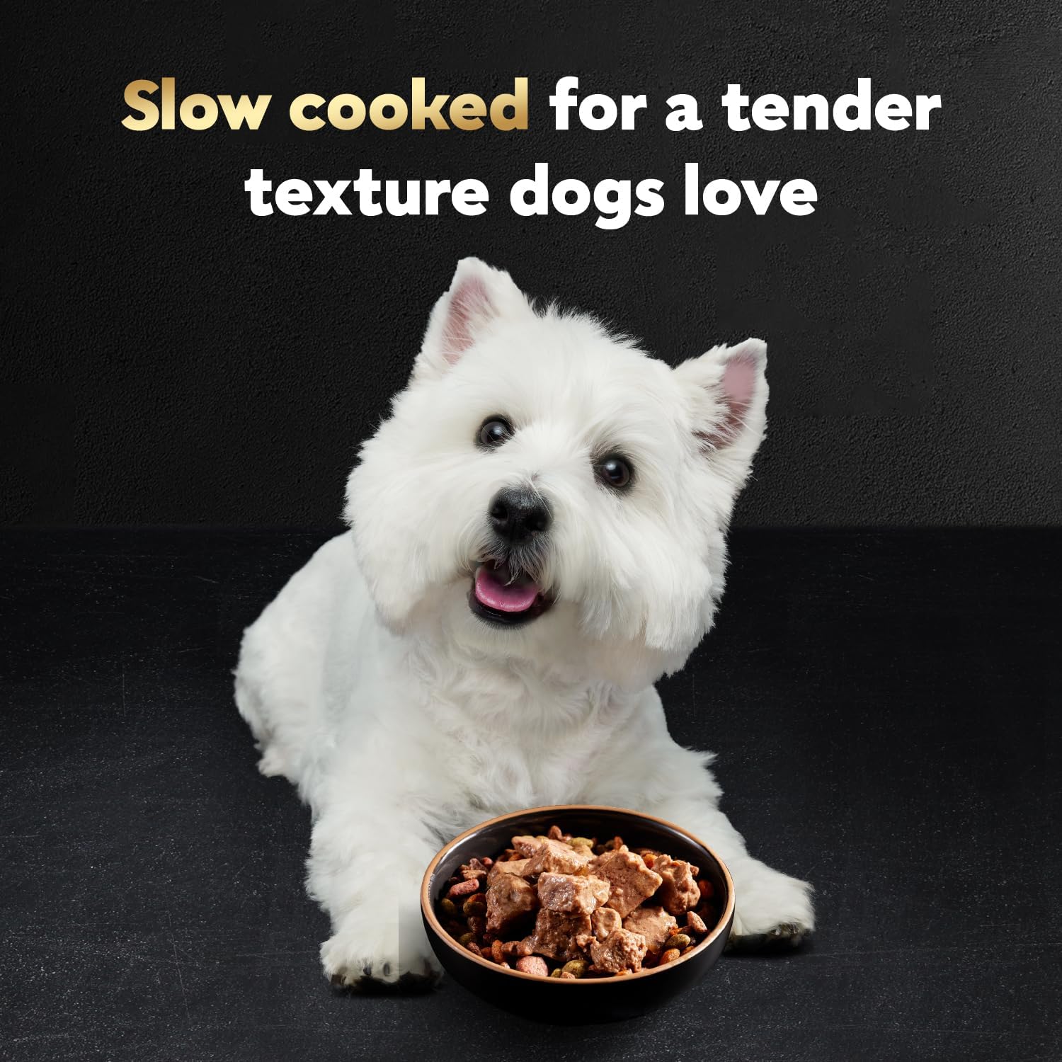 Cesar Steak Lovers Variety Pack wet dog food for adult dogs, featuring multiple cans with beef and steak flavors.