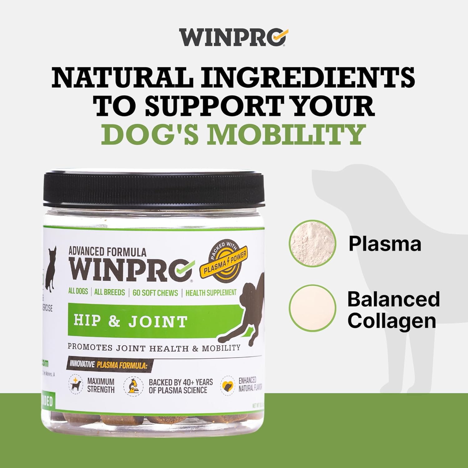WINPRO Hip and Joint Supplement for Dogs in plasma-powered soft chews, showing the dog treats in a resealable package.