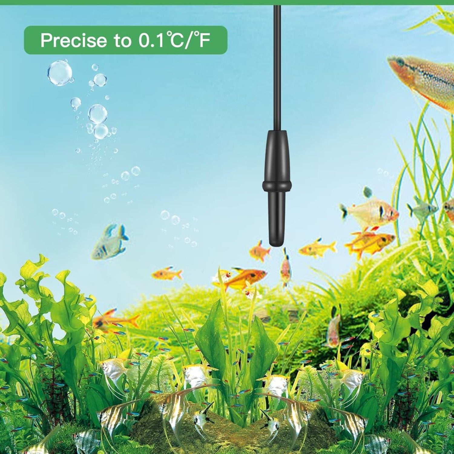 Zacro Petbank LCD digital aquarium thermometer displaying water temperature in a fish tank or terrarium.