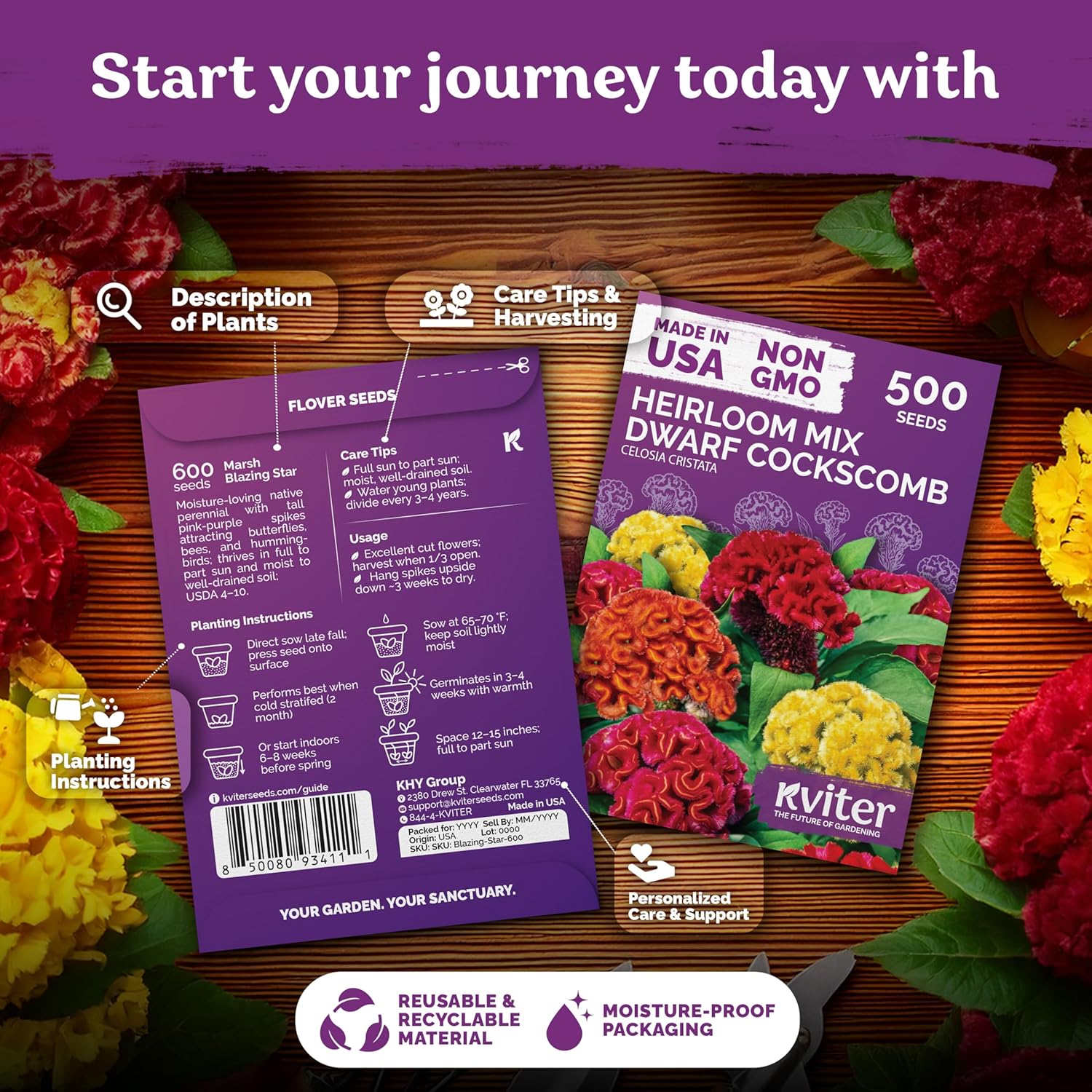 KVITER 500 Dwarf Mix Cockscomb Seeds for Planting Celosia argentea