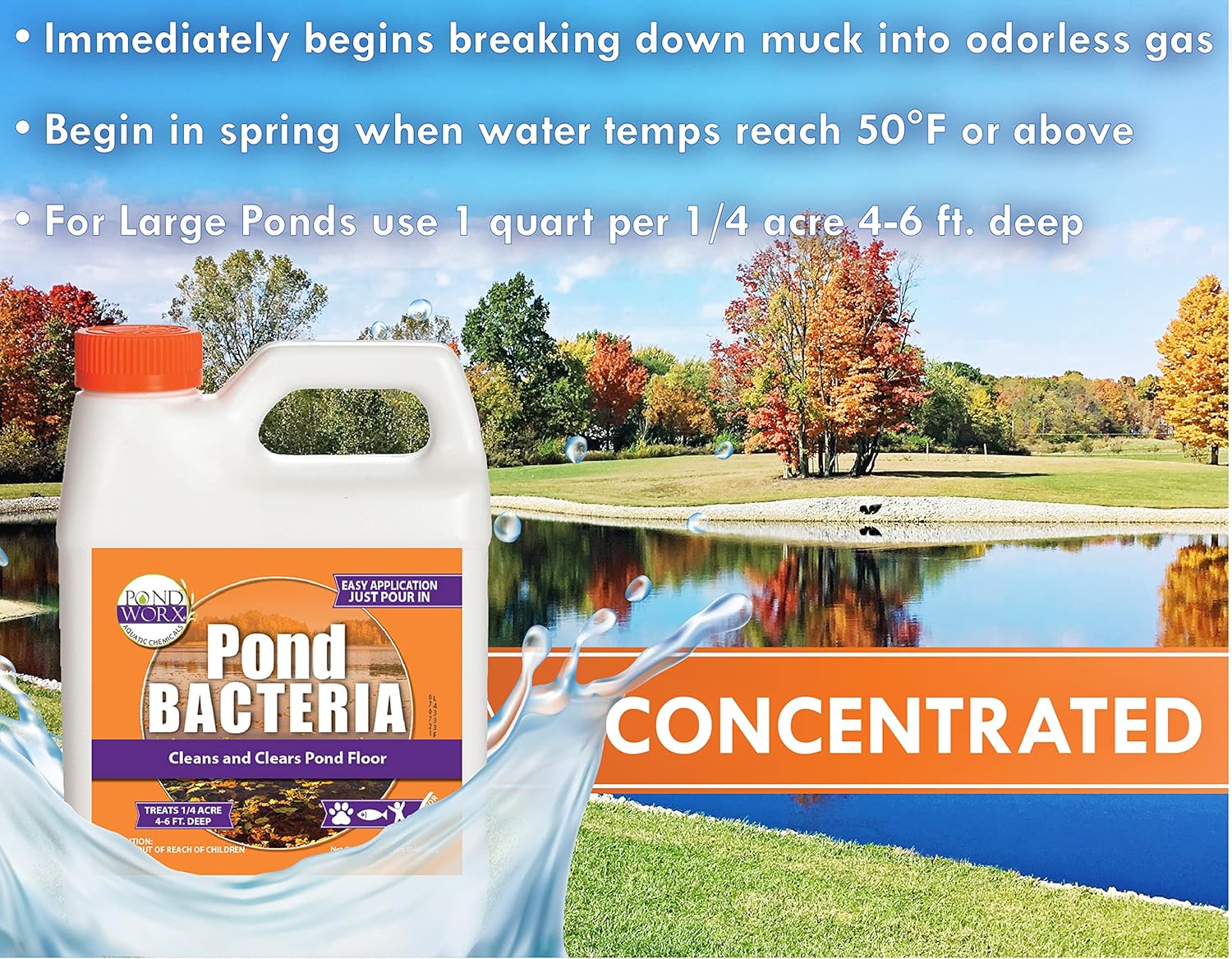 Pondworx Pond Bacteria concentrate for large ponds, showing the product bottle with label and outdoor pond background