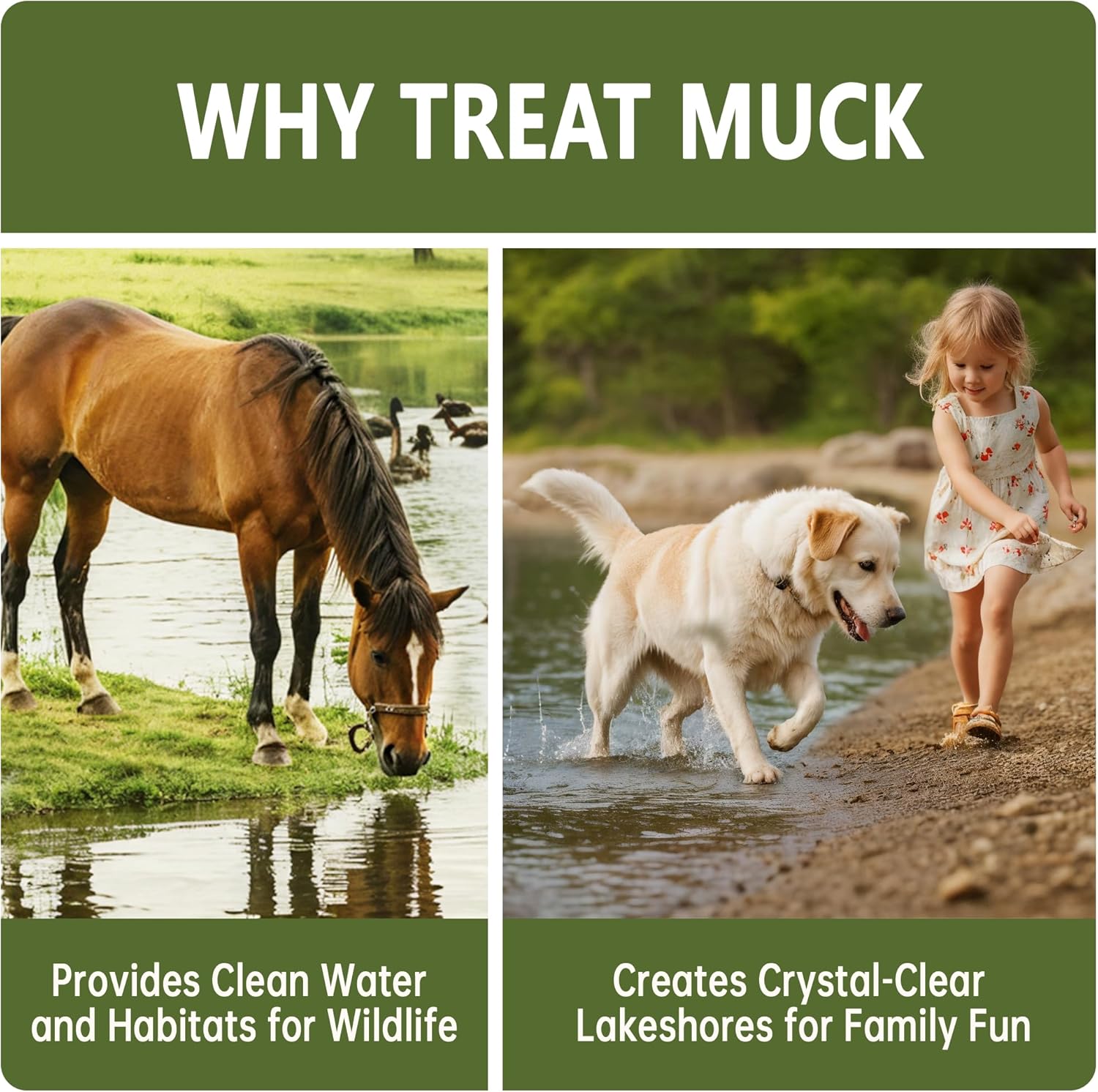 LMJP Muck Reducer 5LB natural sludge solution tablets for ponds and lakes, showing the tablets and packaging.