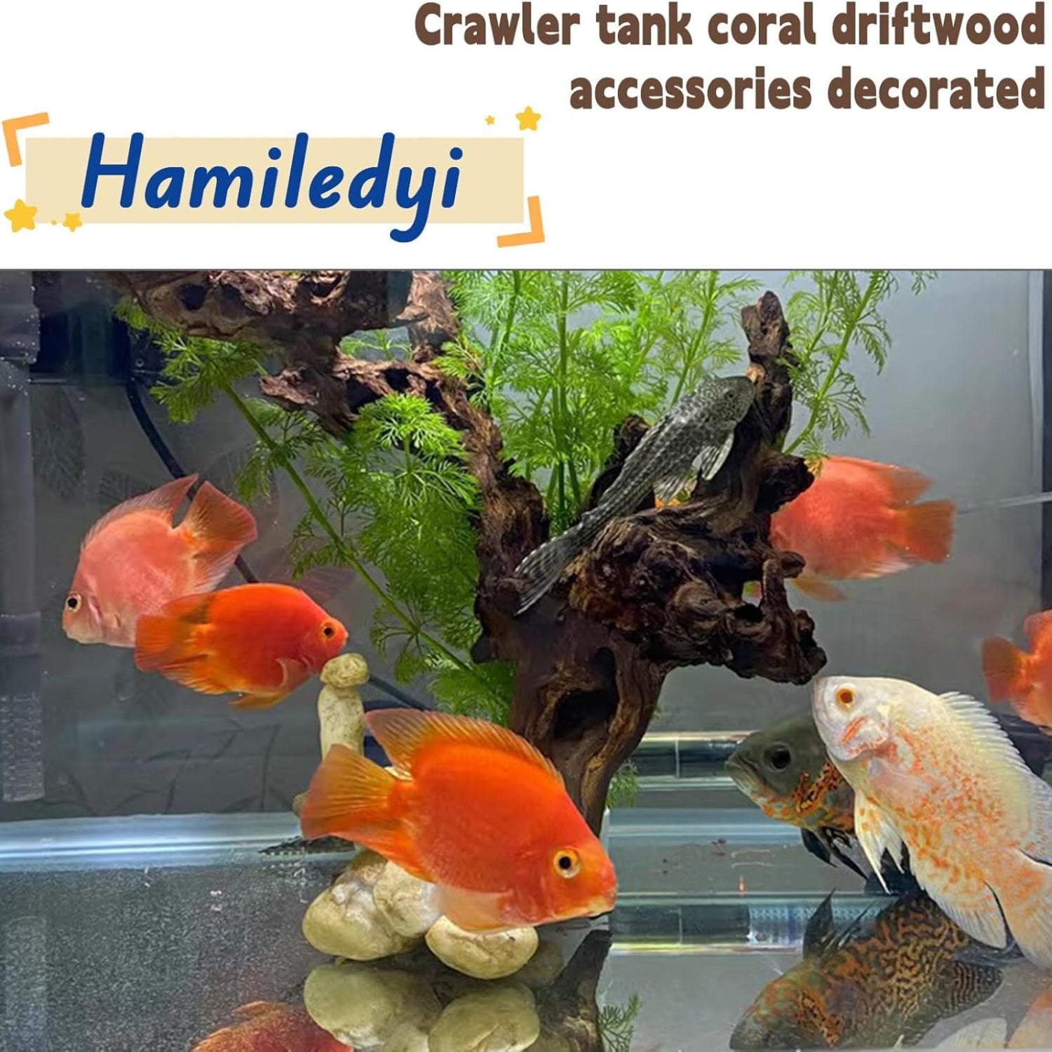 Hamiledyi aquarium driftwood set with three natural trunk branches, varying 8-12 inches, ideal for freshwater fish tanks