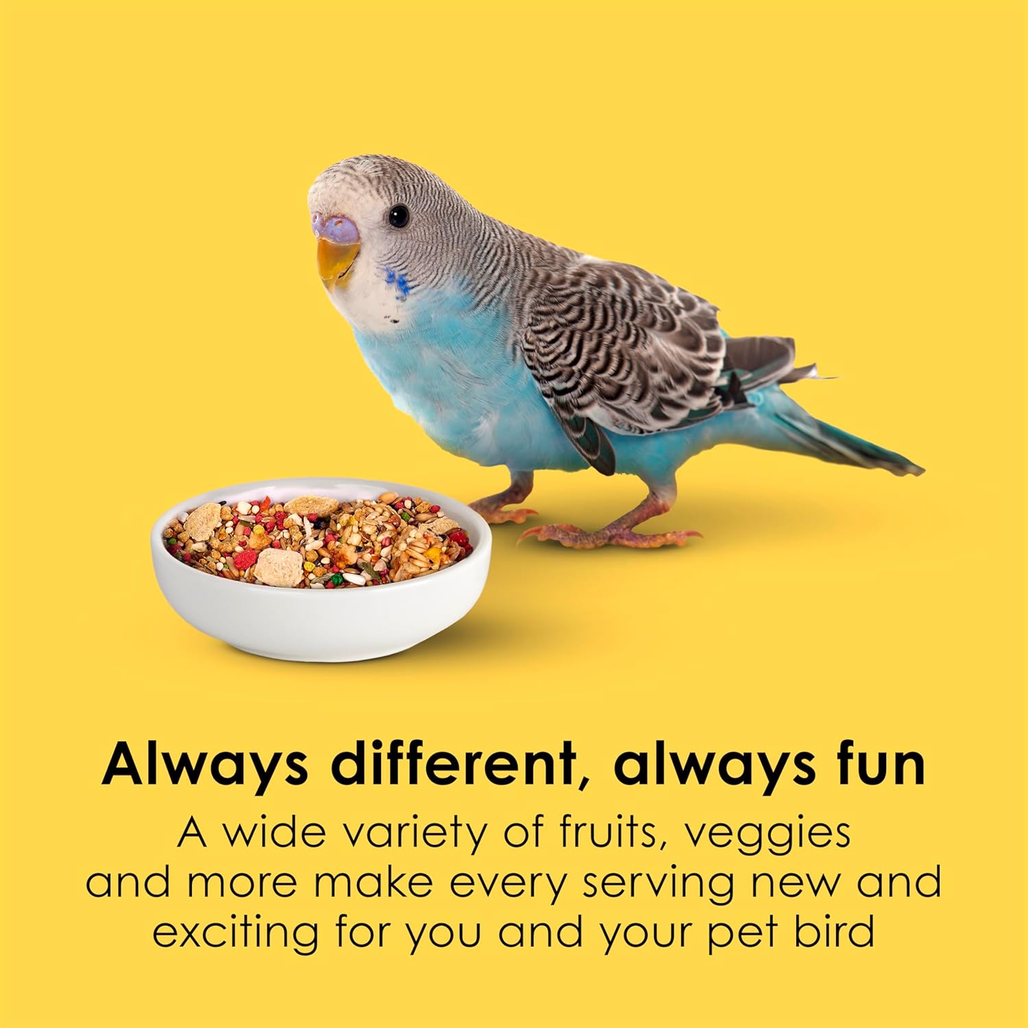 Kaytee Fiesta Parakeet Food bag showing colorful blend of seeds and pellets for nutritious bird diet and feather health.