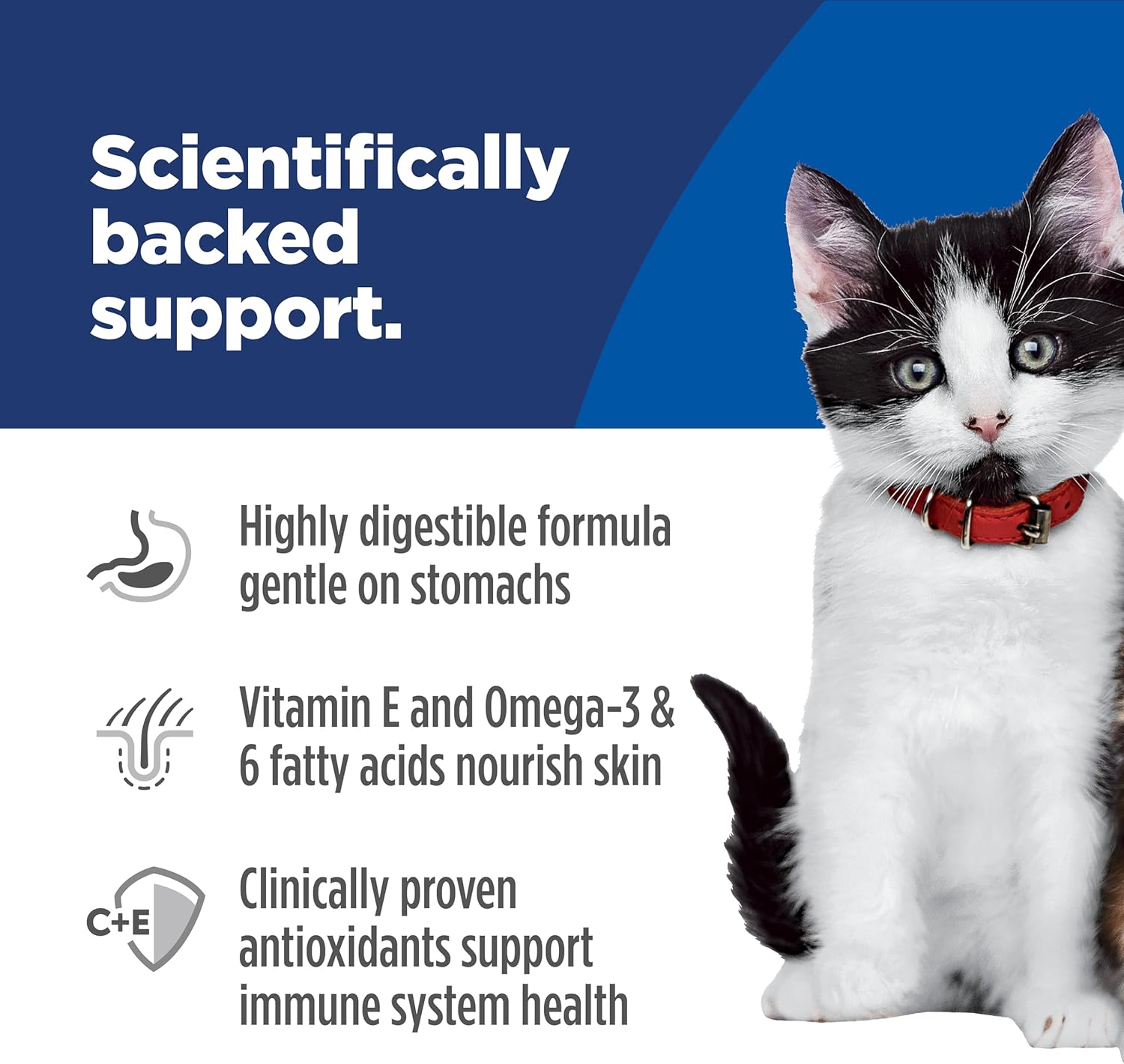 Hill's Science Diet Sensitive Stomach & Skin kitten food bag showing the product packaging with images of kittens and key benefits.