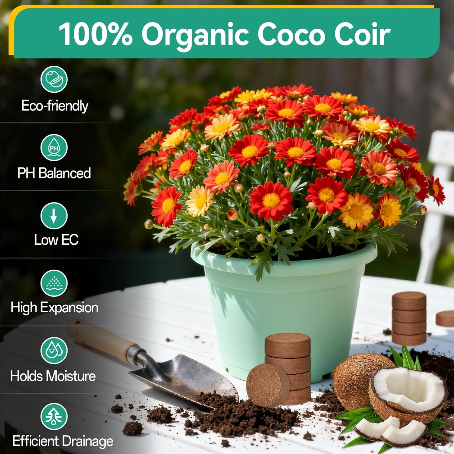 ZeeDix 200pcs 30mm coco coir pellets for potting soil, ideal for indoor plants and seed starting, shown in a tidy arrangement.