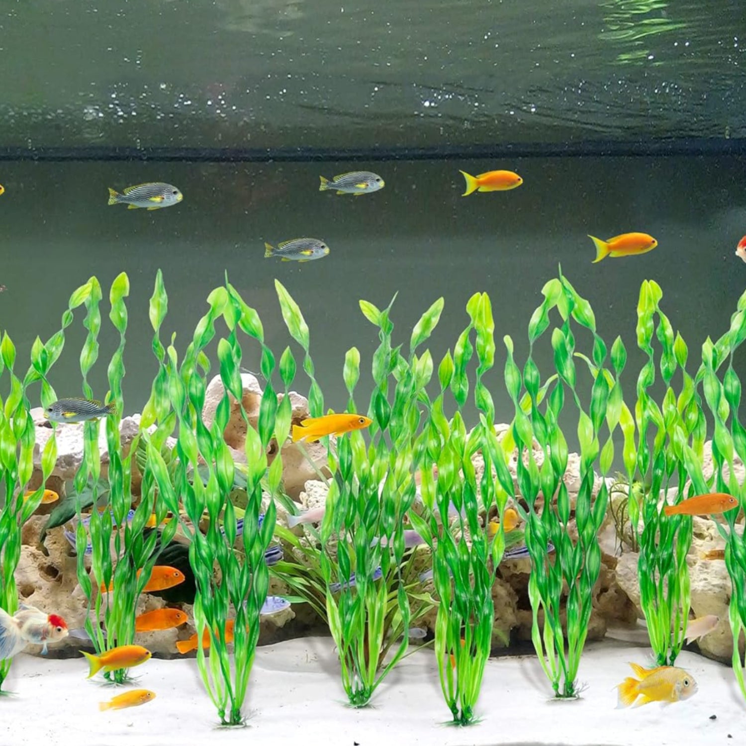 MyLifeUNIT artificial seaweed water plant for aquarium, plastic fish tank plant with green, leafy seaweed design.