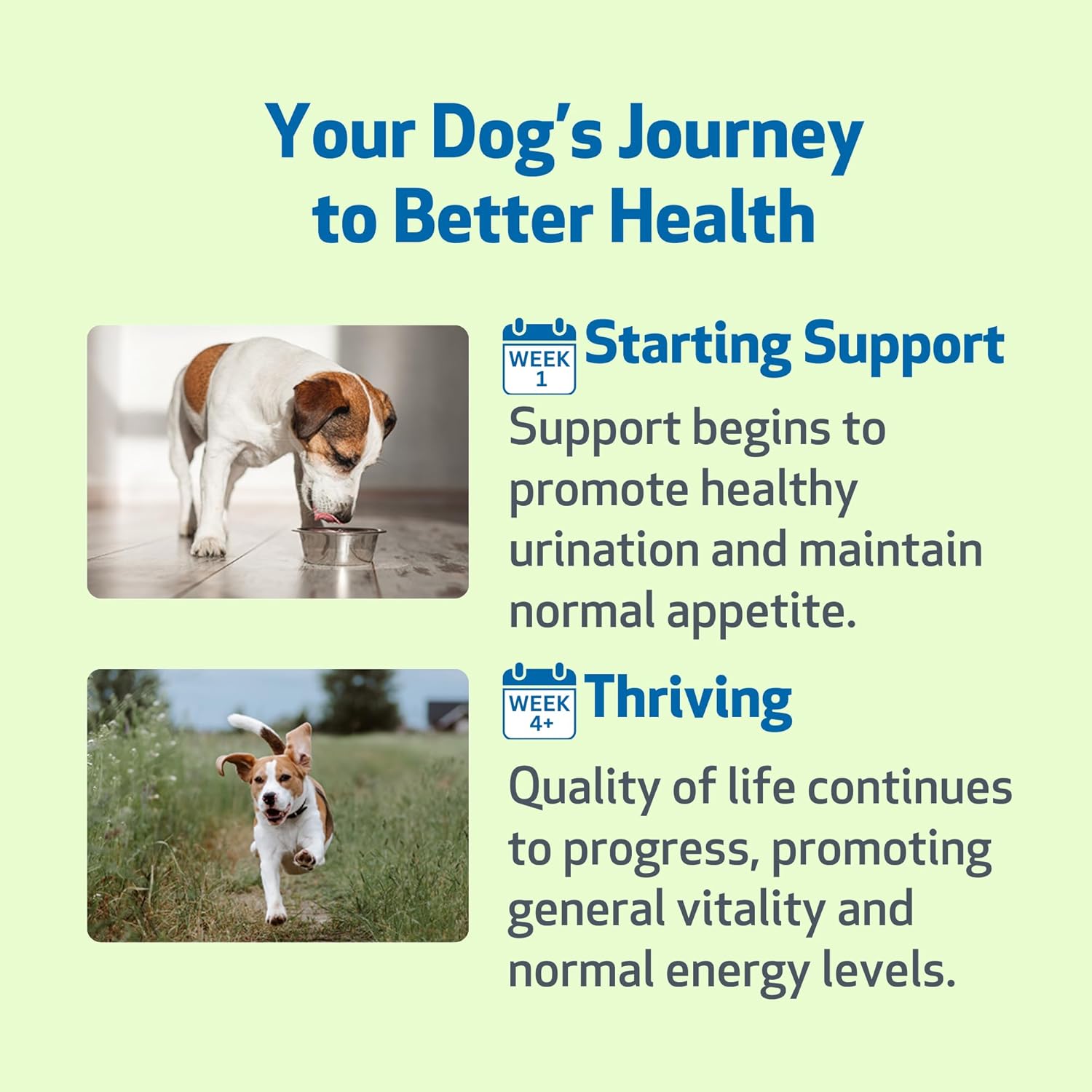 Pet Wellbeing Kidney Support Gold for Dogs supplement bottle with label and dosage instructions, designed to promote canine kidney health.