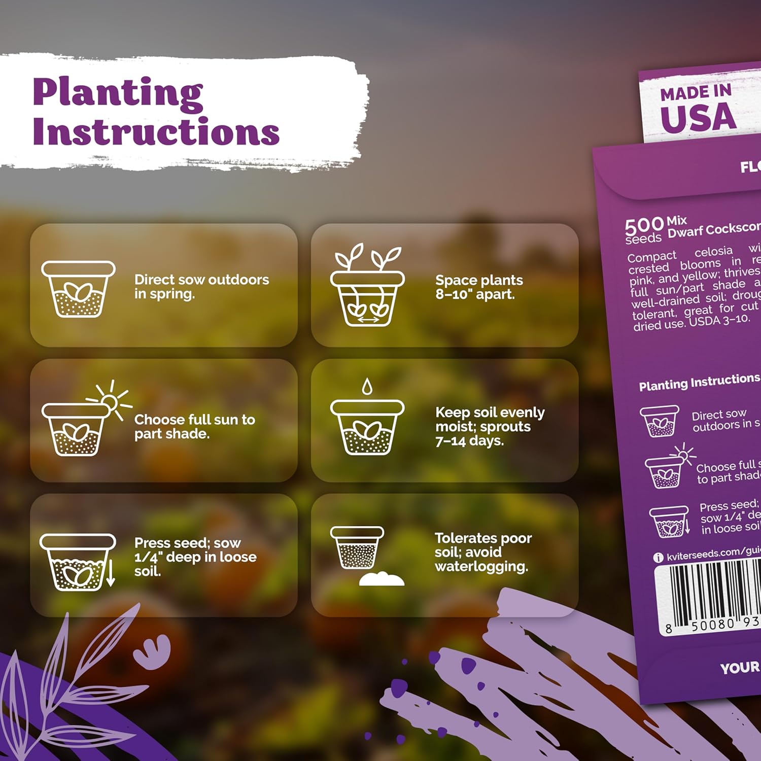 KVITER 500 Dwarf Mix Cockscomb Seeds for Planting Celosia argentea