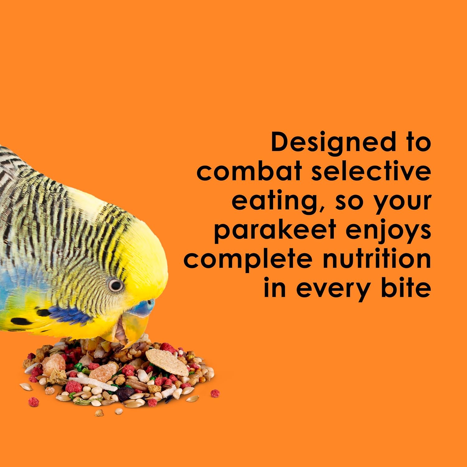 Kaytee Fiesta Parakeet Food blend with seeds and grains, supporting healthy skin and vibrant feathers for pet parakeets.