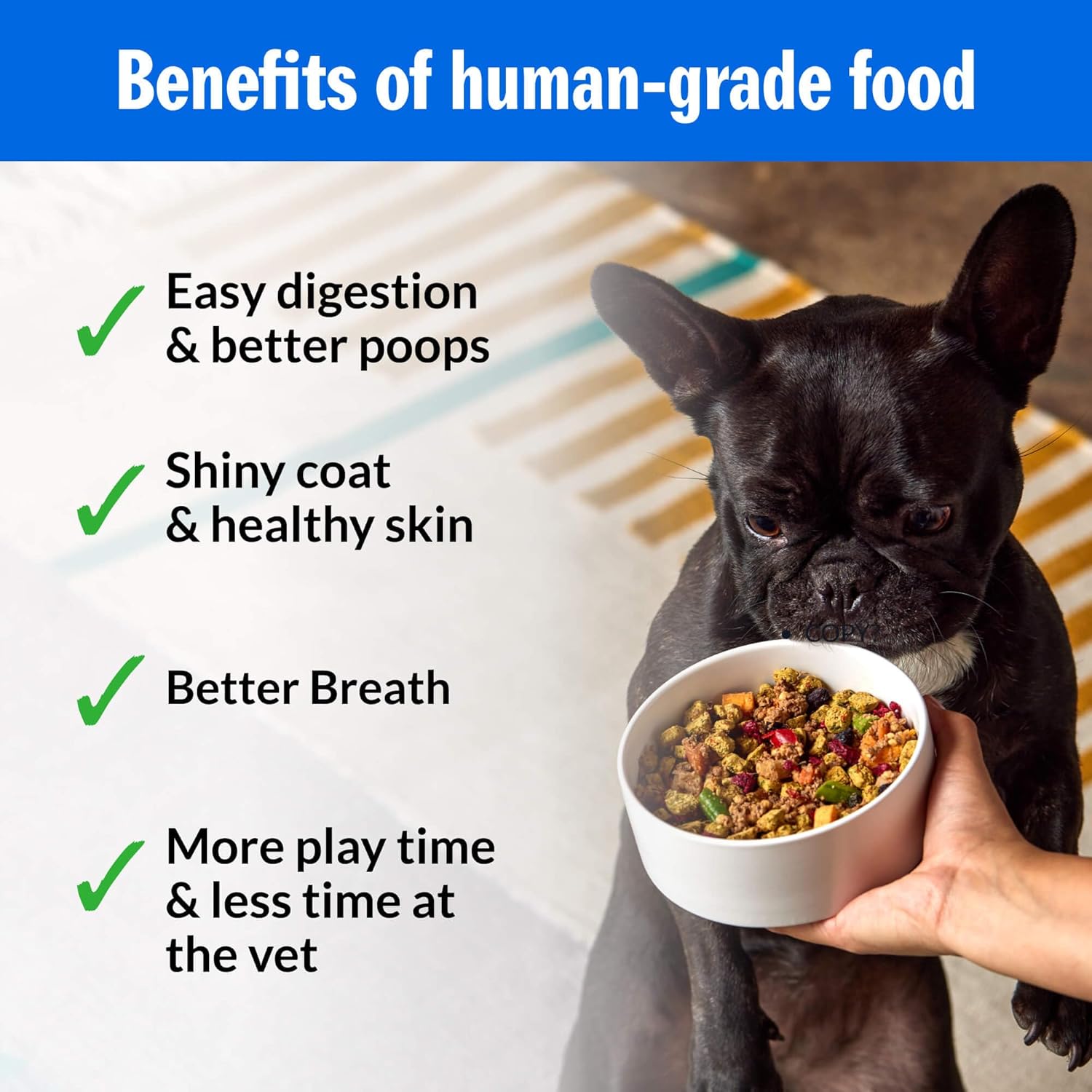 PetPlate Roost Rulin' Chicken dry dog food by Elefair, gently baked and air-dried, showing fresh chicken-based kibble in a bowl.