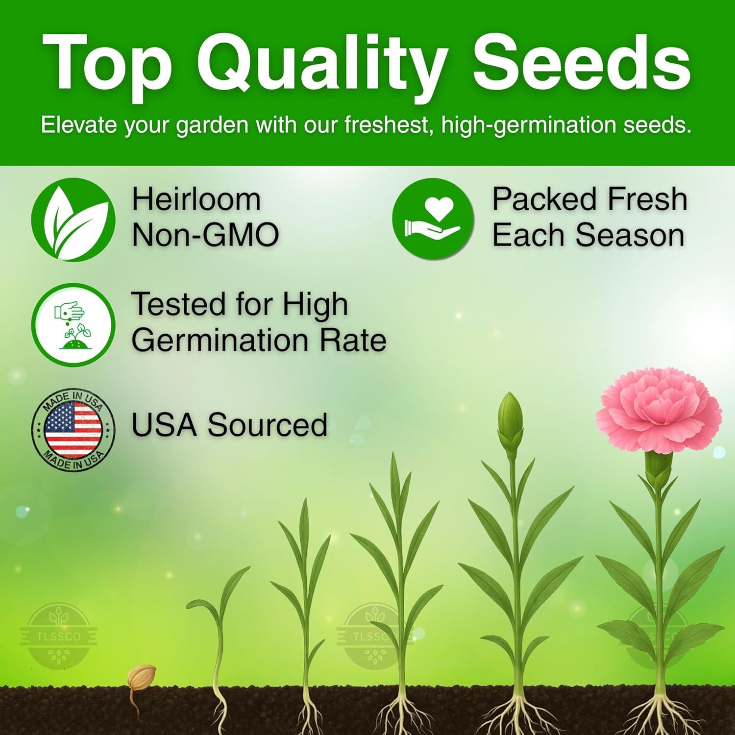 2550+ Carnation Flower Seeds for Planting, Pack for 2026 USA Premium