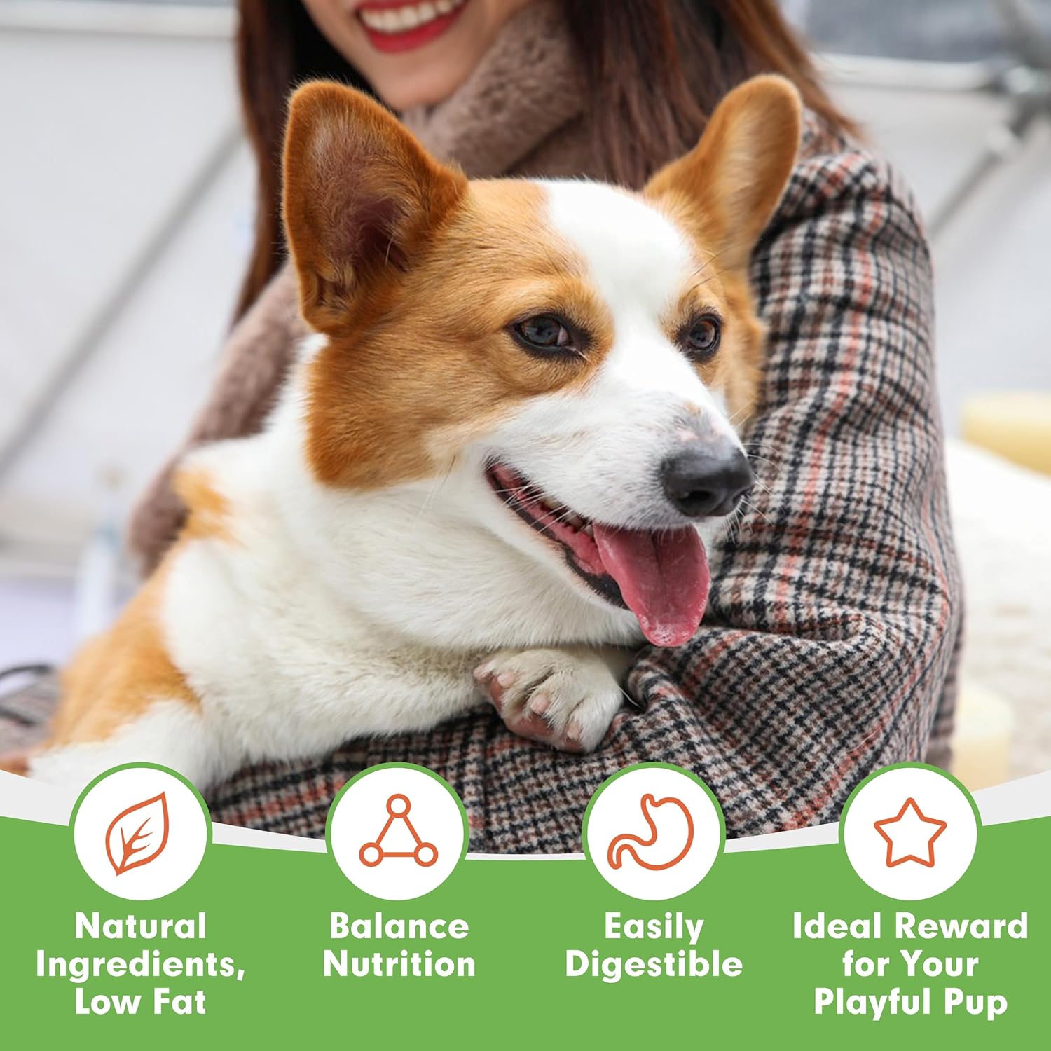 MON2SUN Rawhide-Free Dog Treats, 4-inch chicken-wrapped cod fillet snacks for dogs, showing the treats and packaging.