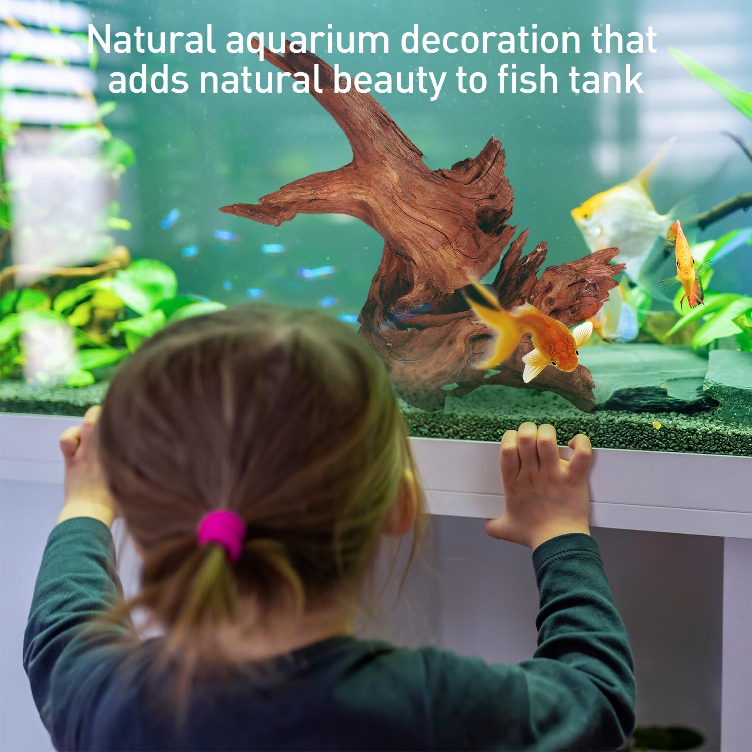 WDEFUN natural driftwood for aquarium decor, 2-piece set with large pieces measuring 10 to 14 inches, suitable for freshwater tanks