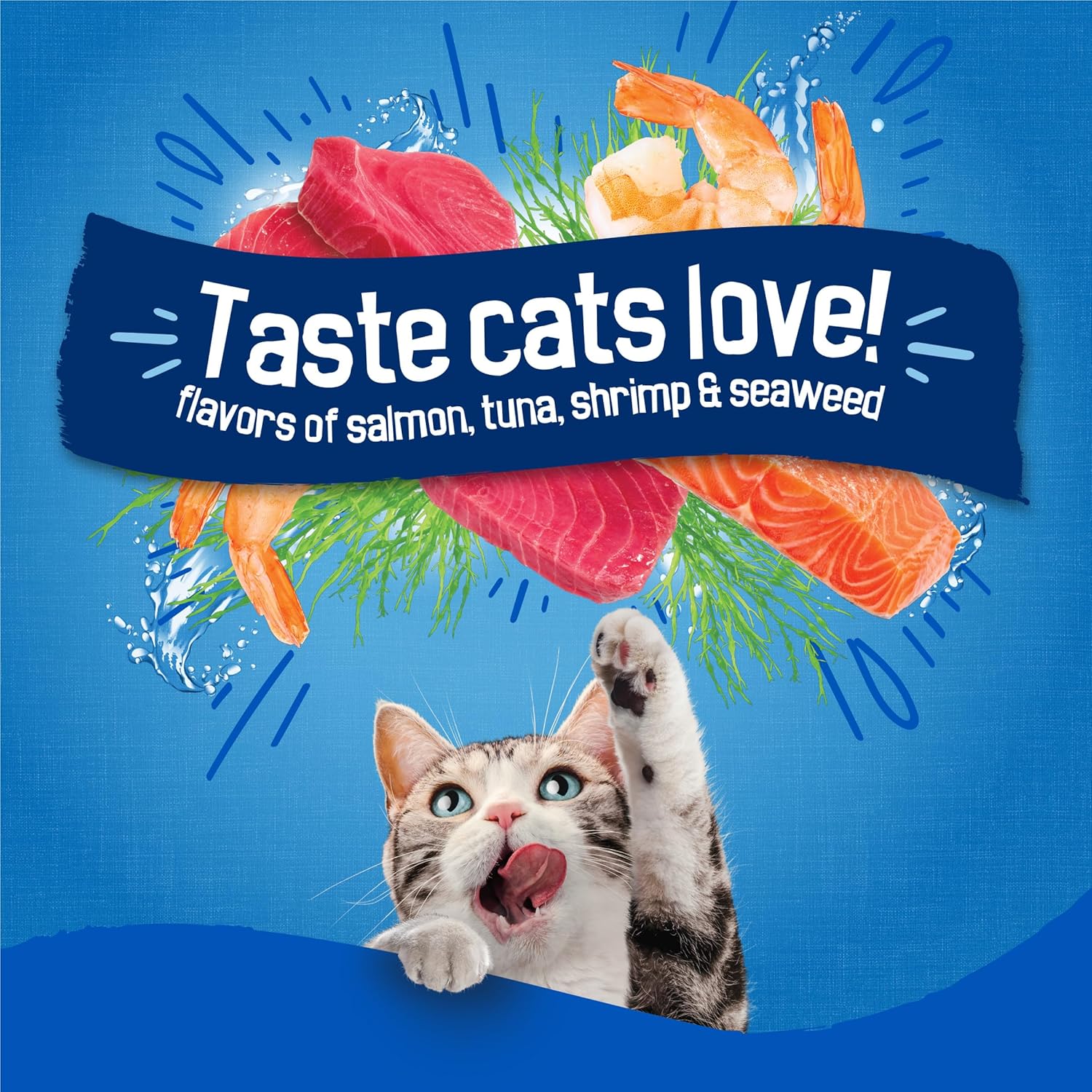 Bag of Purina Friskies Dry Cat Food Seafood Sensations with Salmon and Tuna, showing the cat food packaging and branding.