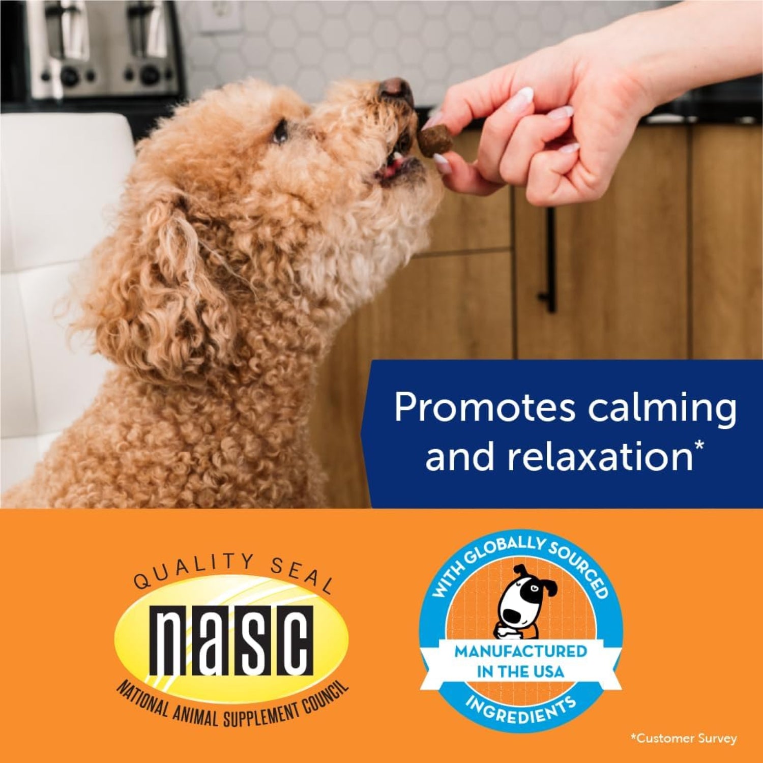 ThunderWunders Hemp Dog Calming Chews by ThunderBites, vet-recommended calming treats for dogs in stressful situations.