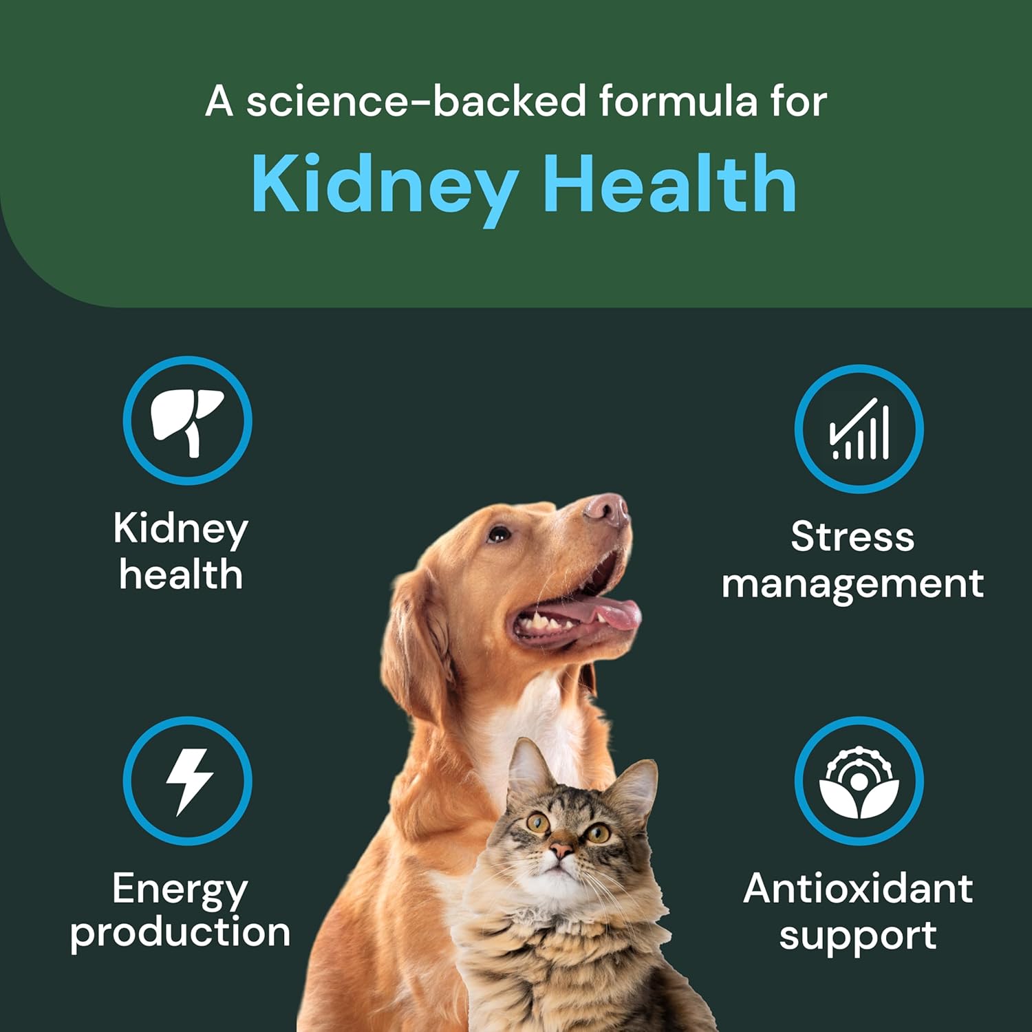 Vetriscience Veterinary Strength Kidney Health Chews in a white and green package, showing the product label and chews inside.