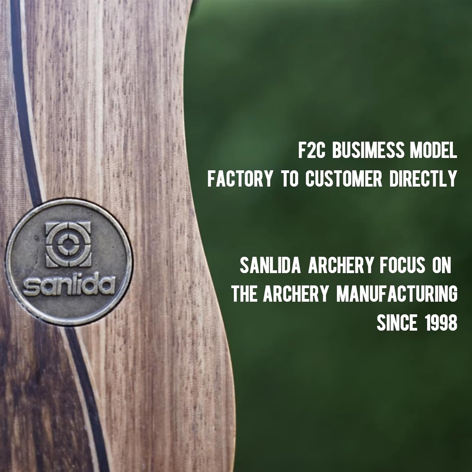 Sanlida Eagle X9 58-inch RTH recurve bow with matching arrows, ready for archery practice and target shooting.