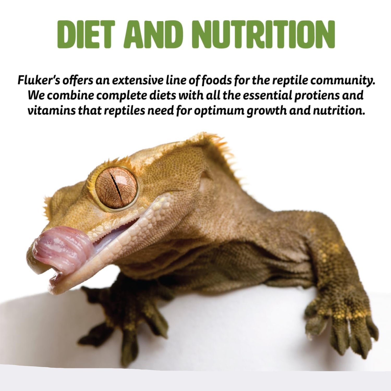 Fluker's Buffet Blend Tortoise Diet with veggies and fortified pellets in a 6.75 oz package, shown in a clear plastic container.