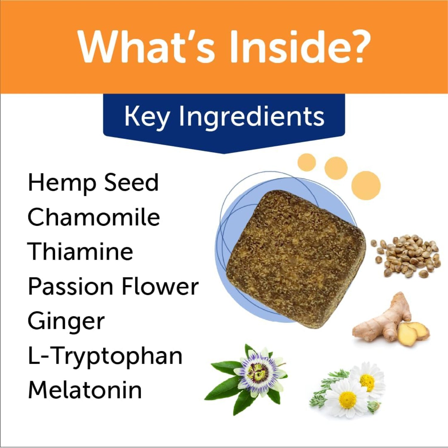 ThunderWunders Hemp Dog Calming Chews by ThunderBites, showing the vet-recommended calming treats for dogs in a natural setting.