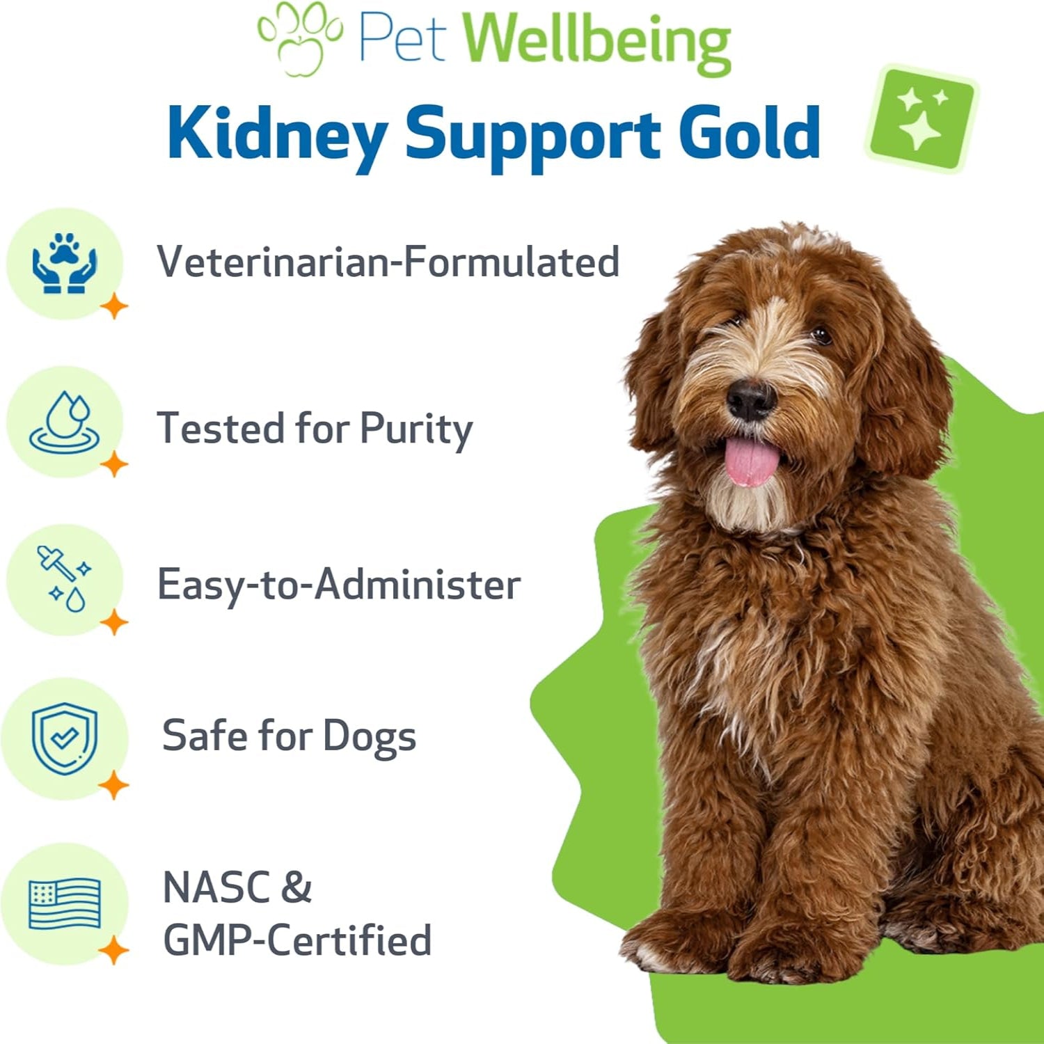 Pet Wellbeing Kidney Support Gold supplement for dogs, featuring a bottle with label and capsules to promote healthy kidney function.