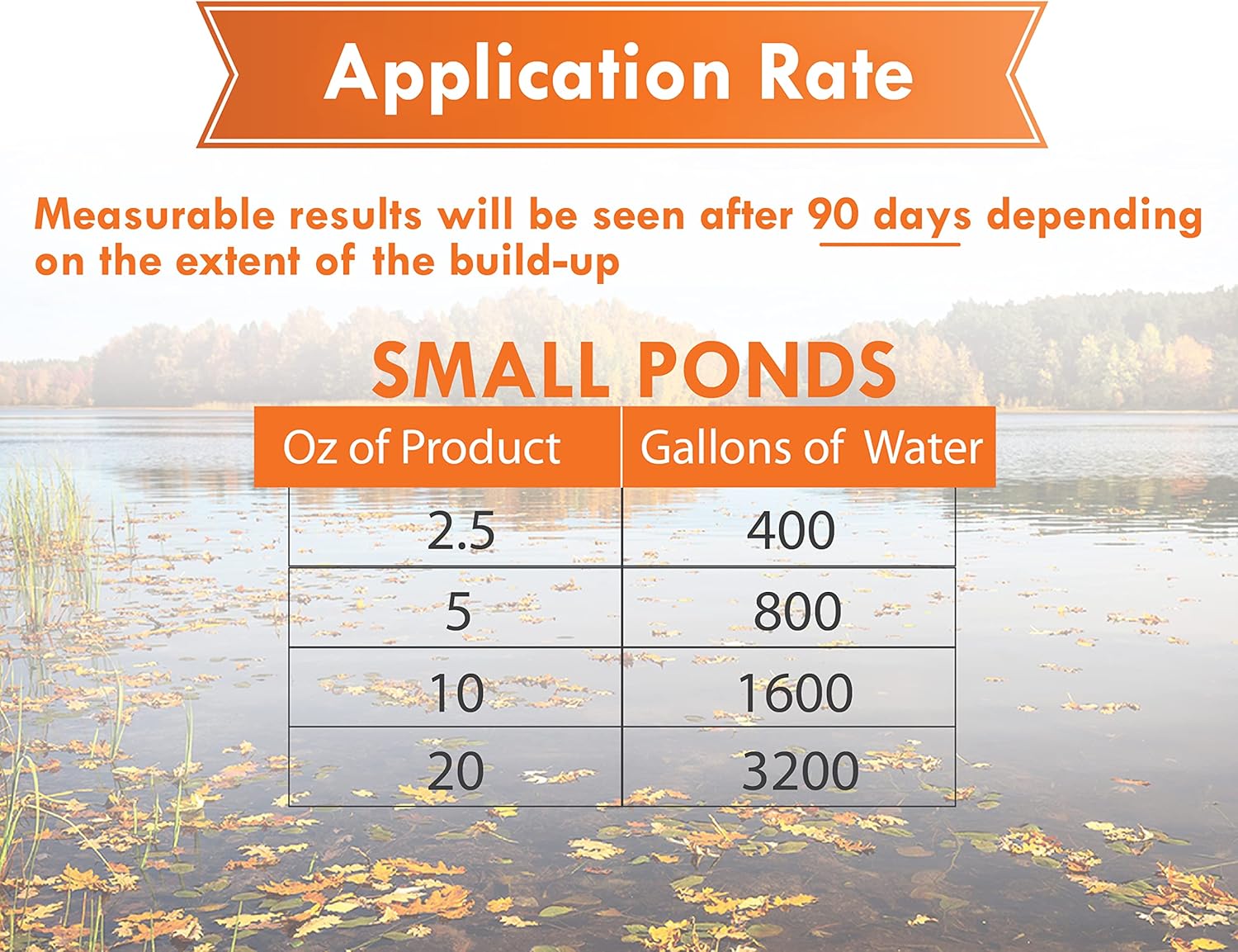 Pondworx Pond Bacteria bottle for large ponds, showing concentrated formula in clear plastic container with label.