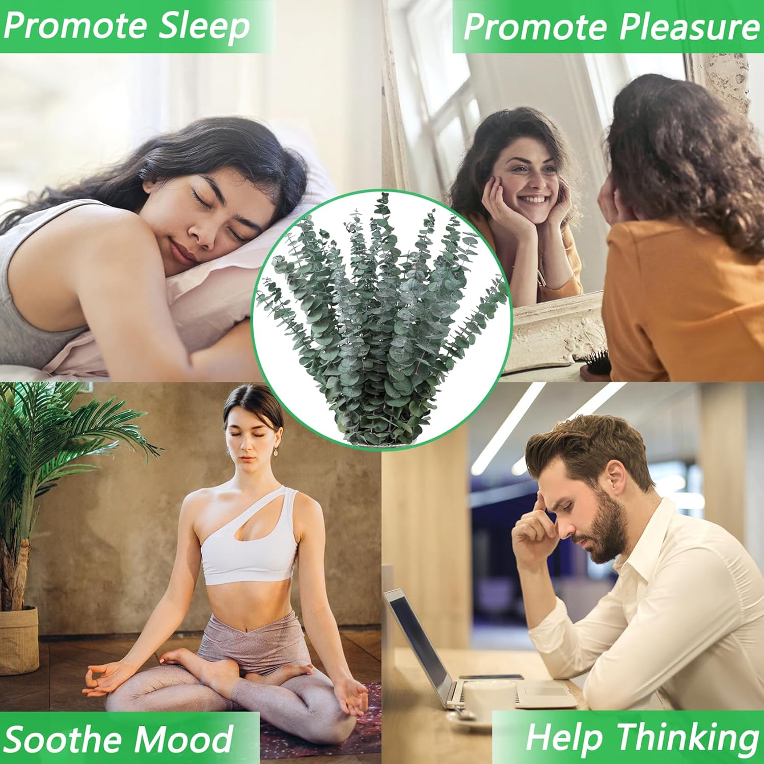 10 Pcs Dried Eucalyptus Stems 17" Real Eucalyptus for Shower Hanging 100% Made