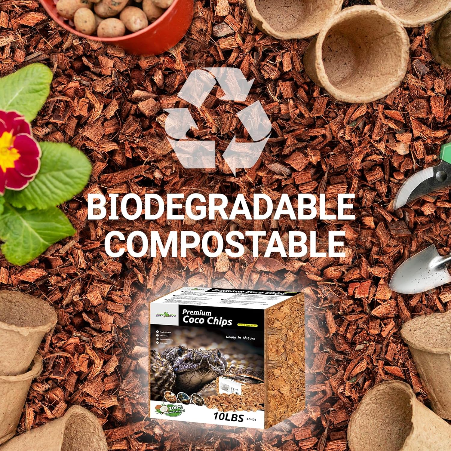 REPTI ZOO 72 Quart coconut chip substrate for reptiles, showing natural coconut husk chips in a clear container.