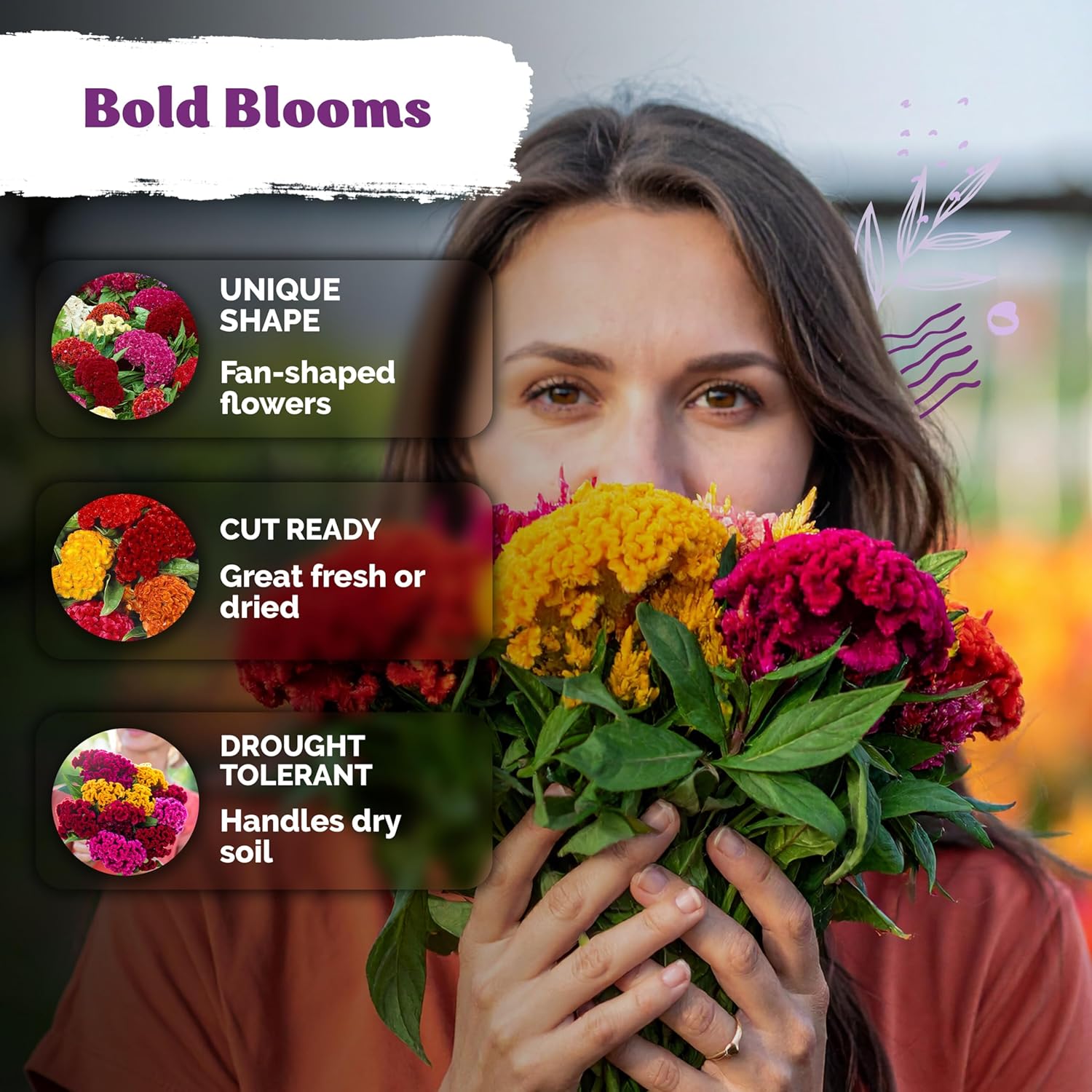 KVITER 500 Dwarf Mix Cockscomb Seeds for Planting Celosia argentea