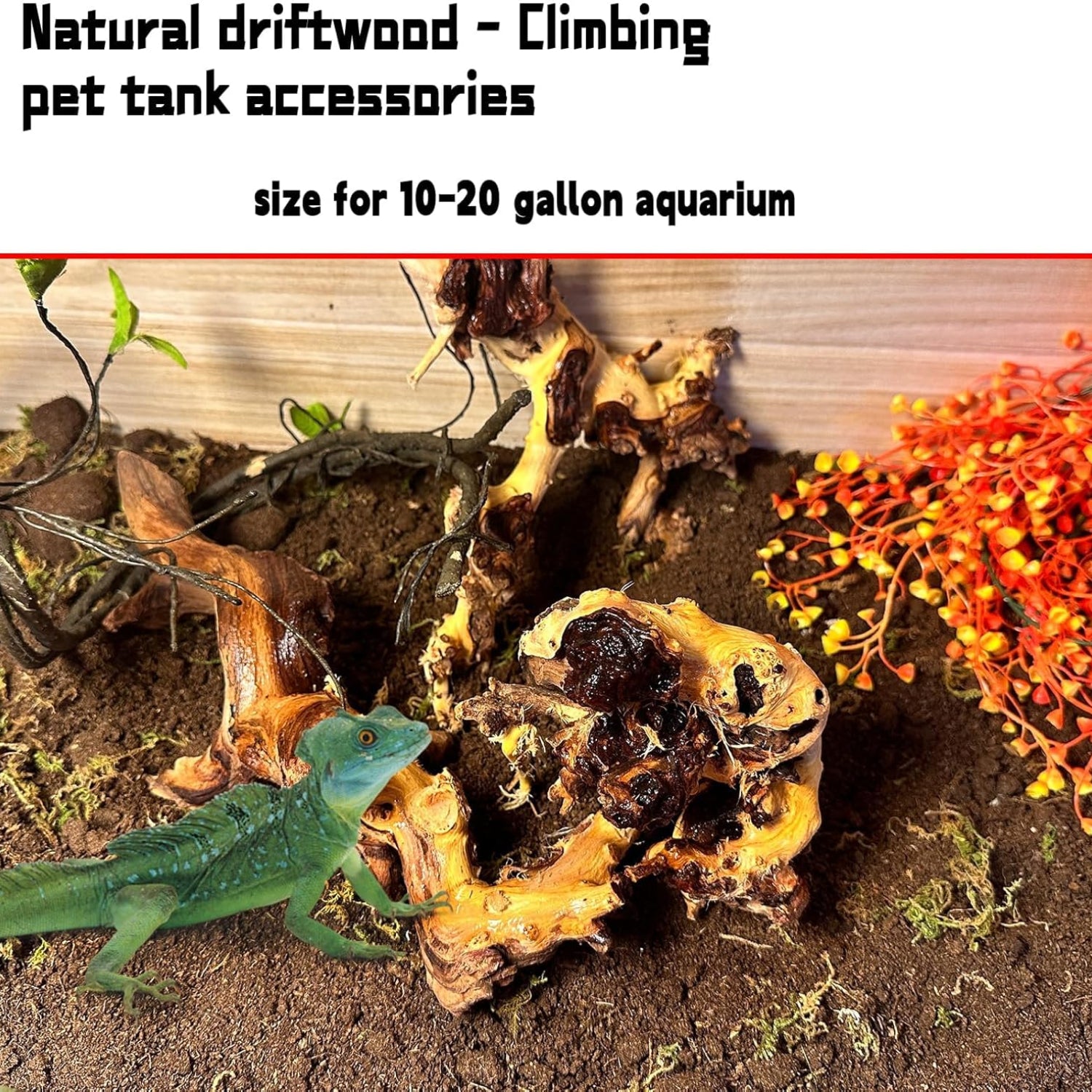 Hamiledyi aquarium driftwood 3-piece set with natural trunk and branches, measuring 8-12 inches, suitable for freshwater fish tanks.