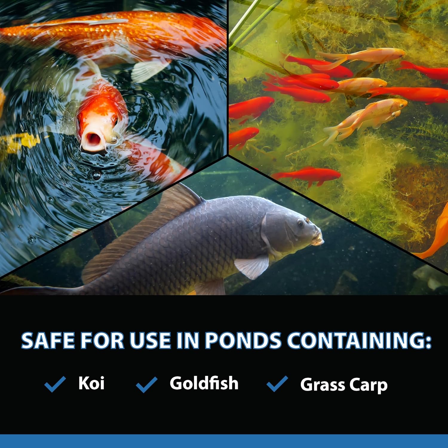CrystalClear AlgaeOff pond and water garden scum cleaner in a container, designed for waterfalls and pond water management.