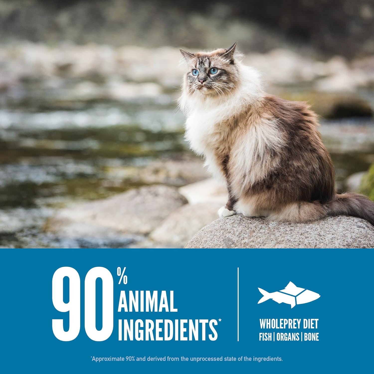 Orijen Grain Free High Protein Dry Cat Food with Six Fish Recipe in a 4lb bag, featuring premium natural ingredients for cats.