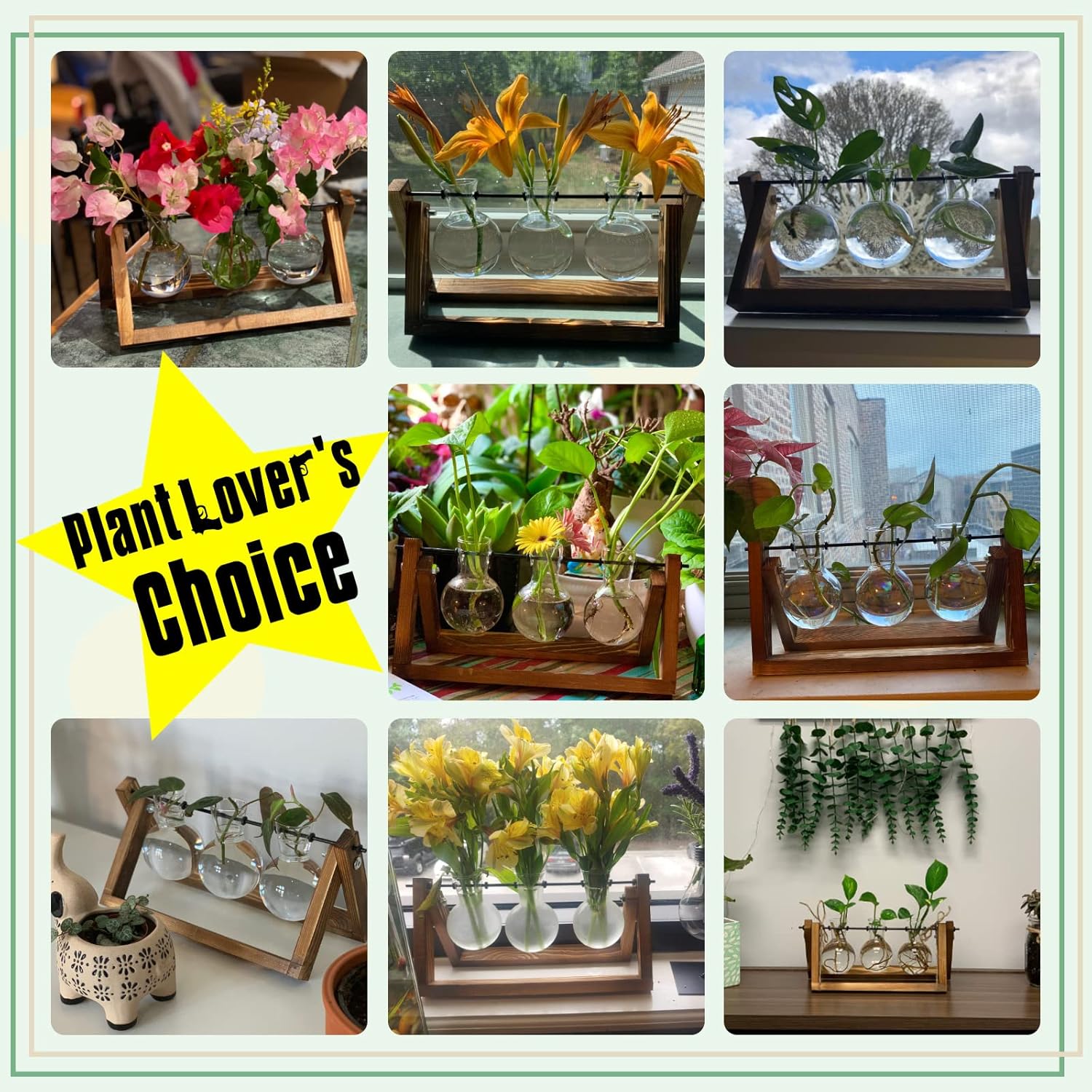 XXXFLOWER Plant Terrarium with Wooden Stand, Air Planter Bulb Glass Vase Metal