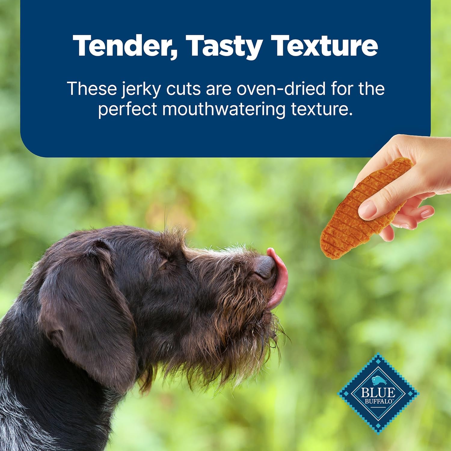 Blue Buffalo Nudges Jerky Cuts dog treats, natural beef jerky slices in a resealable bag, made in the USA for dogs.