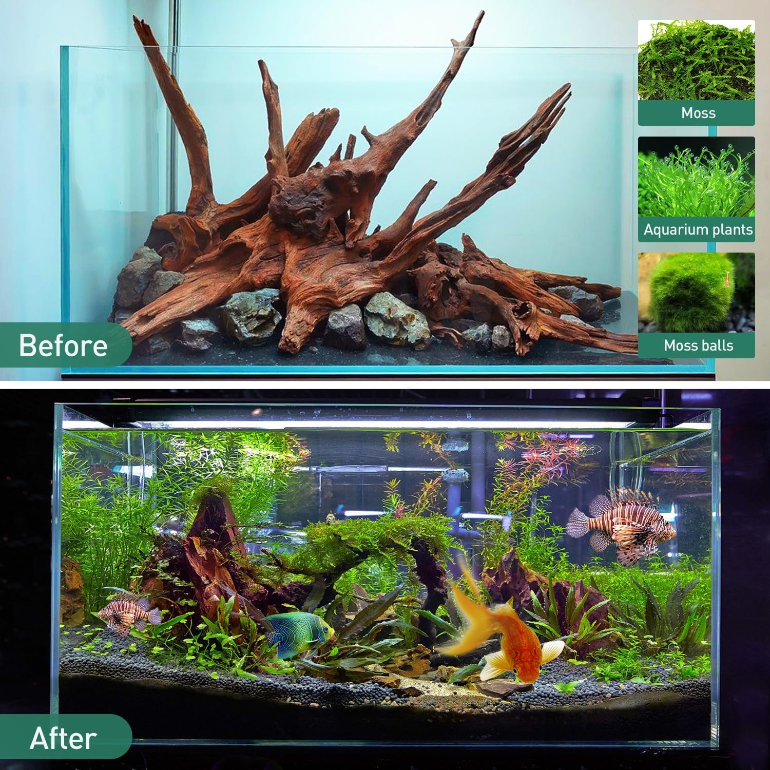 WDEFUN natural driftwood for aquarium decor, 2-piece set with large pieces measuring 10 to 14 inches, ideal for aquatic environments.
