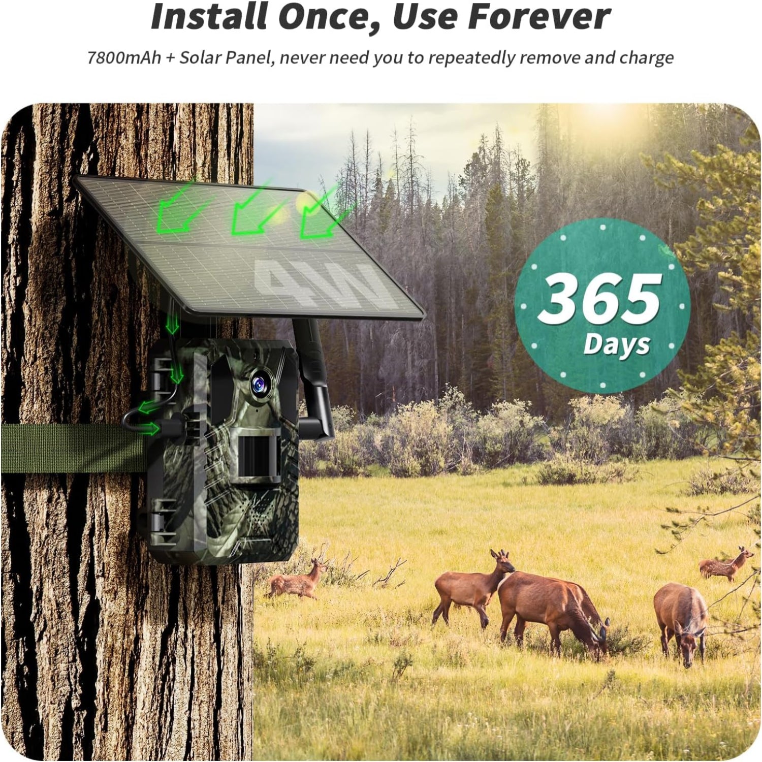 Camouflage trail camera attached to a tree with deer in the background, labeled 'Install Once, Use Forever' and '365 Days'.