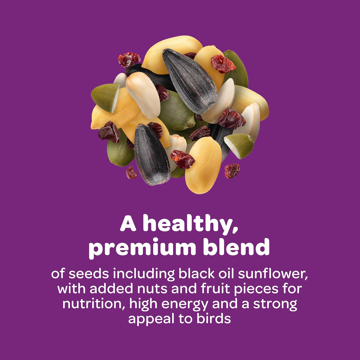 Kaytee Nut & Fruit Wild Bird Seed 5 lb bag showing a colorful mix of nuts and dried fruit for wild birds.