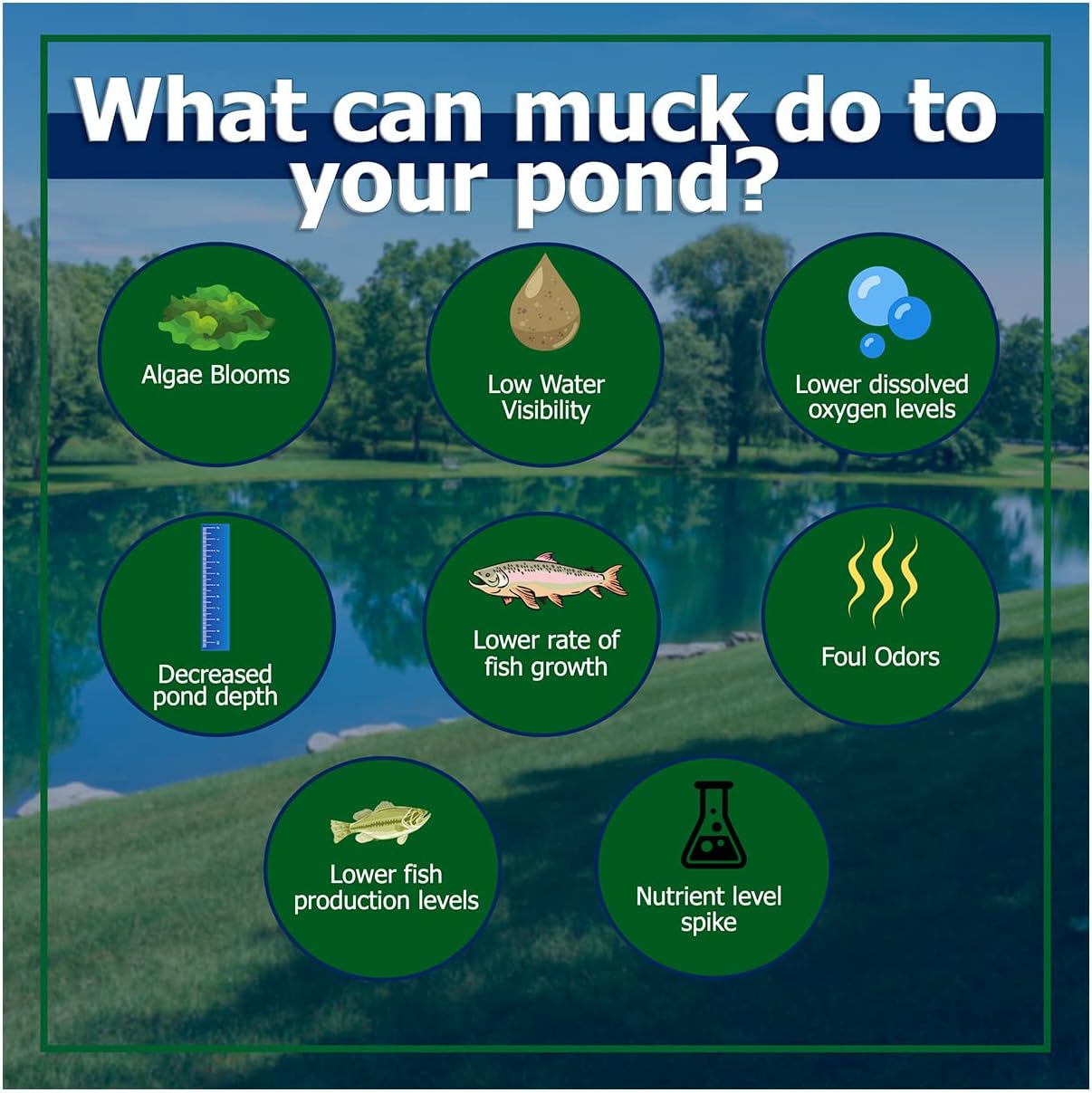 Natural Waterscapes Muck Remover Pellets 10 lb pond tablets for treating pond sludge on up to 2.5 acres, visible in the image.