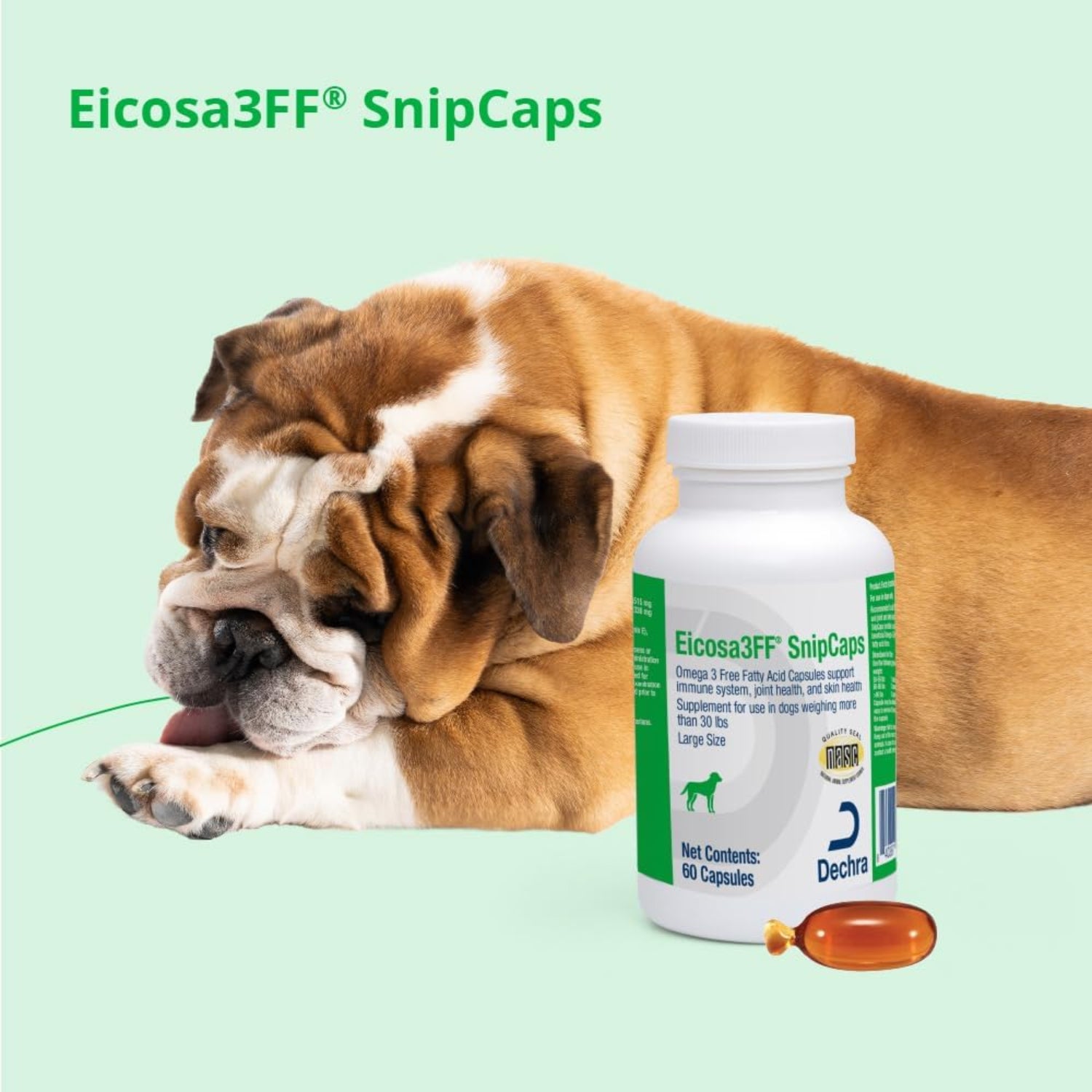 Eicosa3FF SnipCaps Omega 3 free fatty acid capsules for dogs, large bottle with 60 capsules, dietary supplement for canine health.