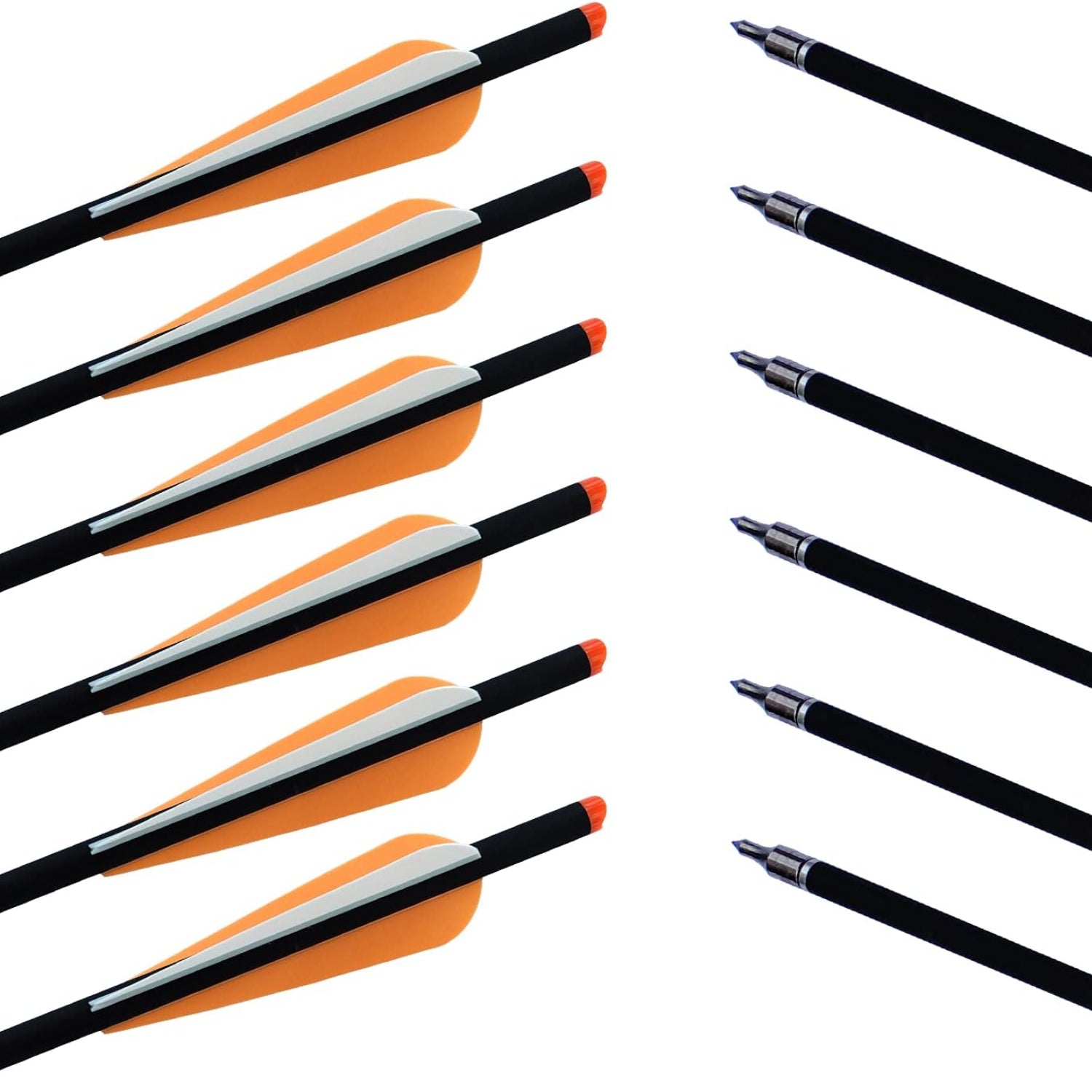 Set of 20 and 22 inch carbon crossbow bolts with broadheads from TIT-COYO, designed for crossbow hunting and target shooting.
