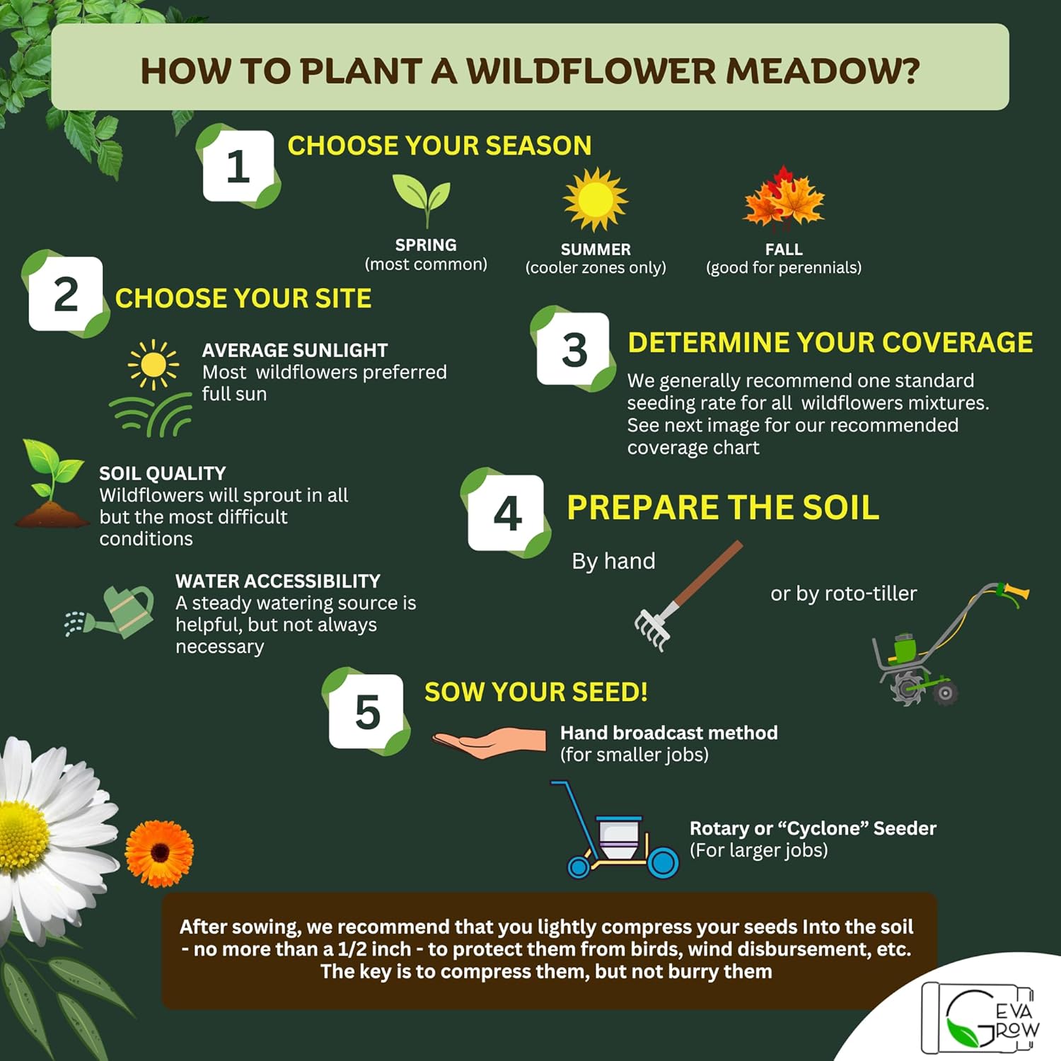Step-by-step guide on how to plant a wildflower meadow with icons and text.