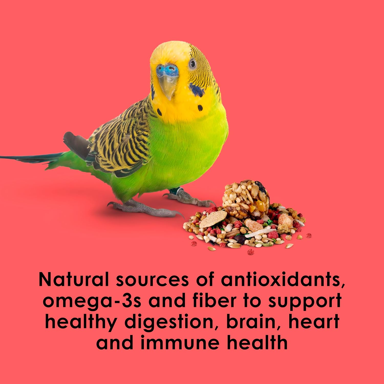 Kaytee Fiesta Parakeet Food bag with colorful blend of seeds and grains, designed to support parakeet skin and feather health